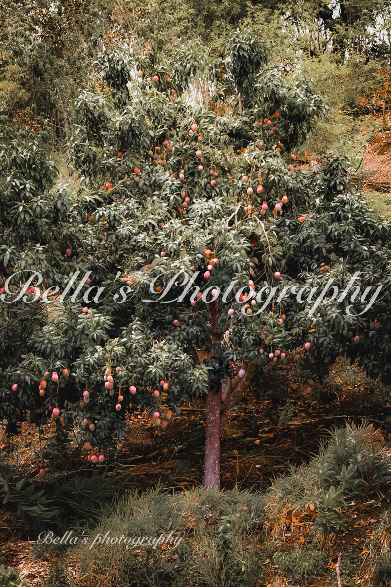 bella phtotography-130.jpg