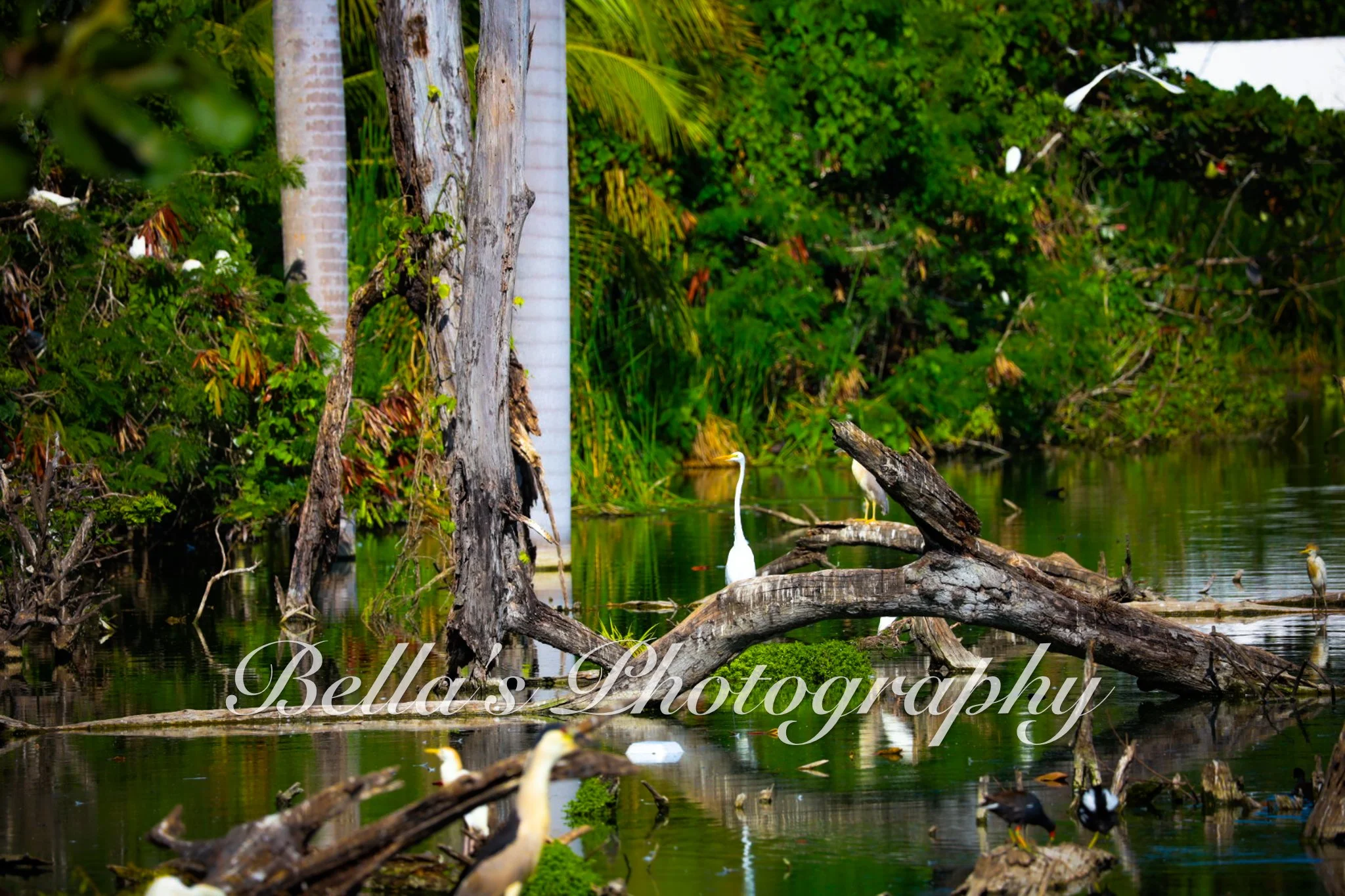 bella phtotography-73.jpg