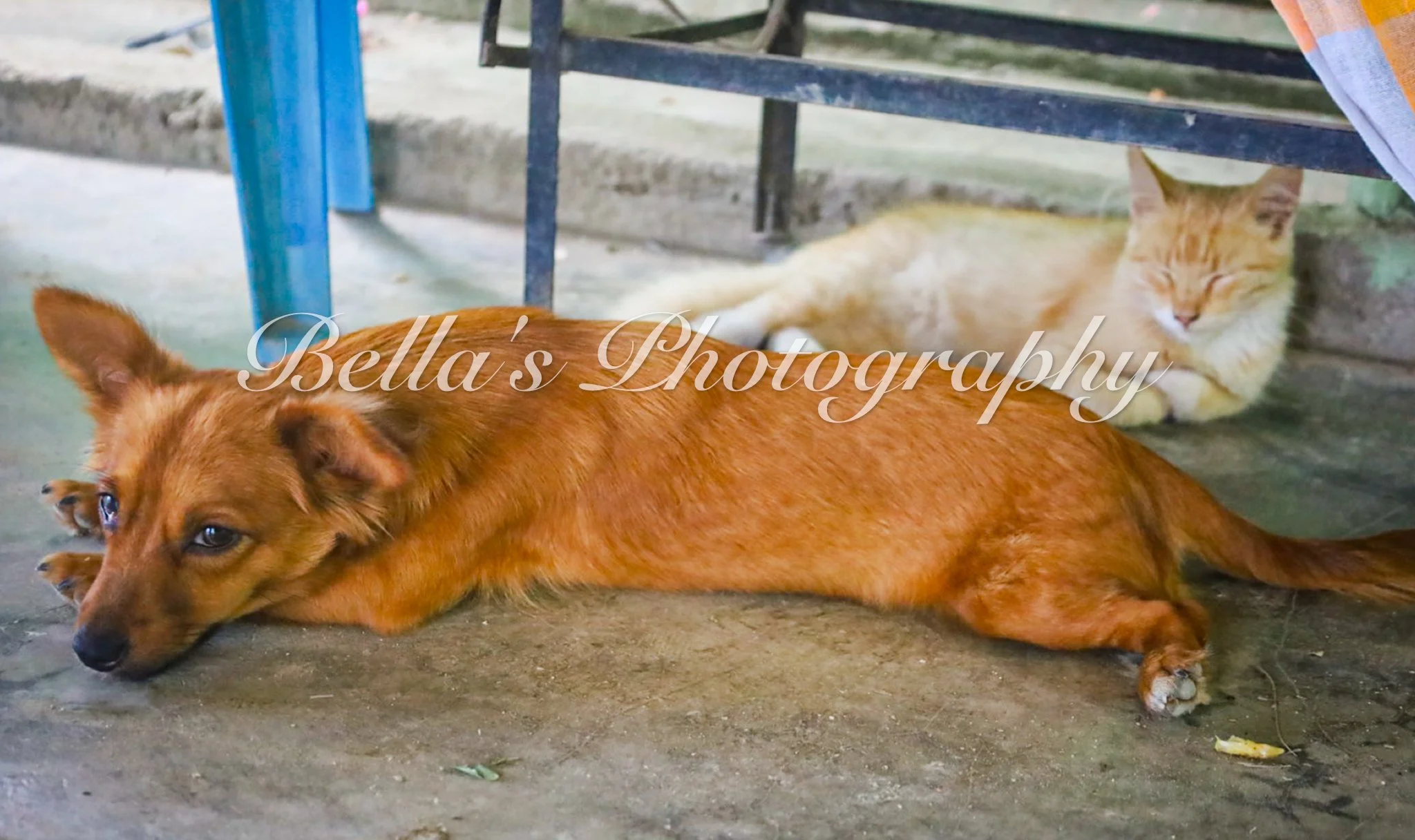 bella phtotography-91.jpg