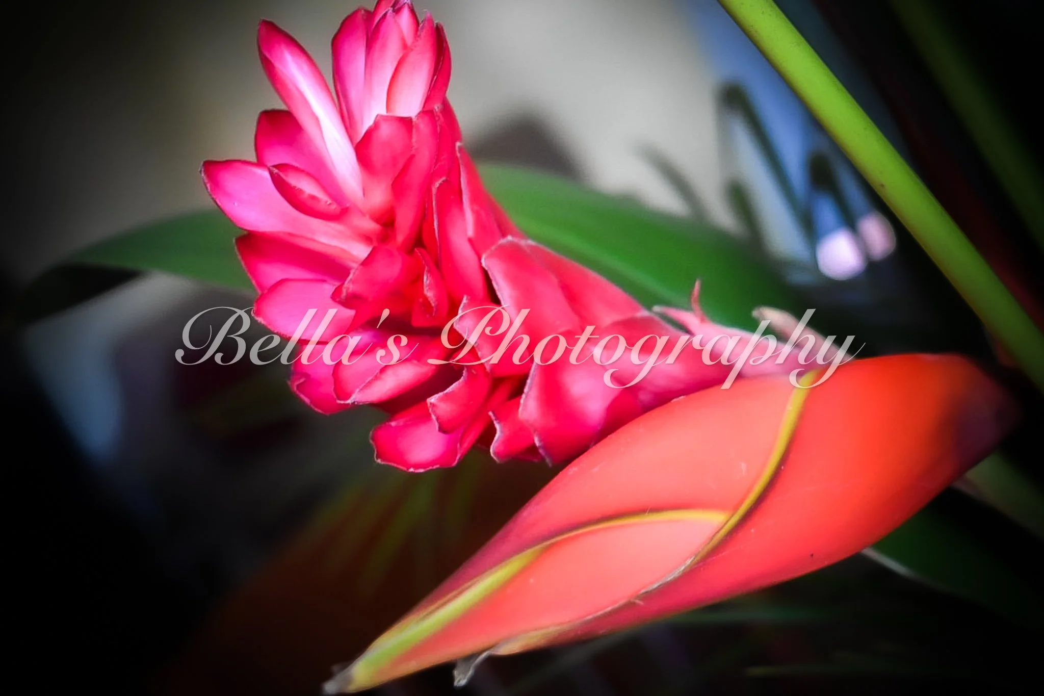 bella phtotography-128.jpg