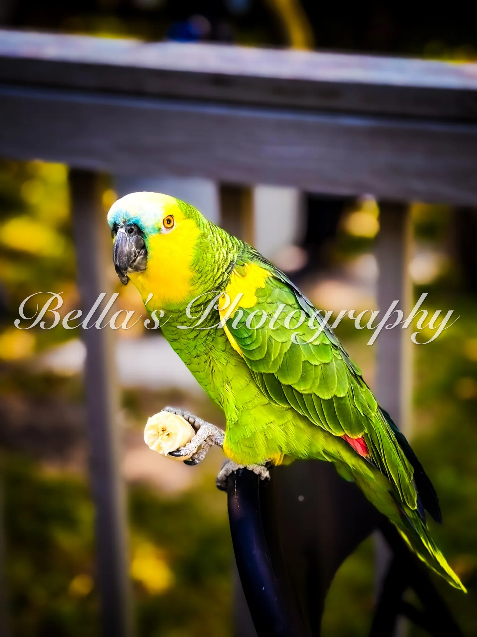 bella phtotography-102.jpg