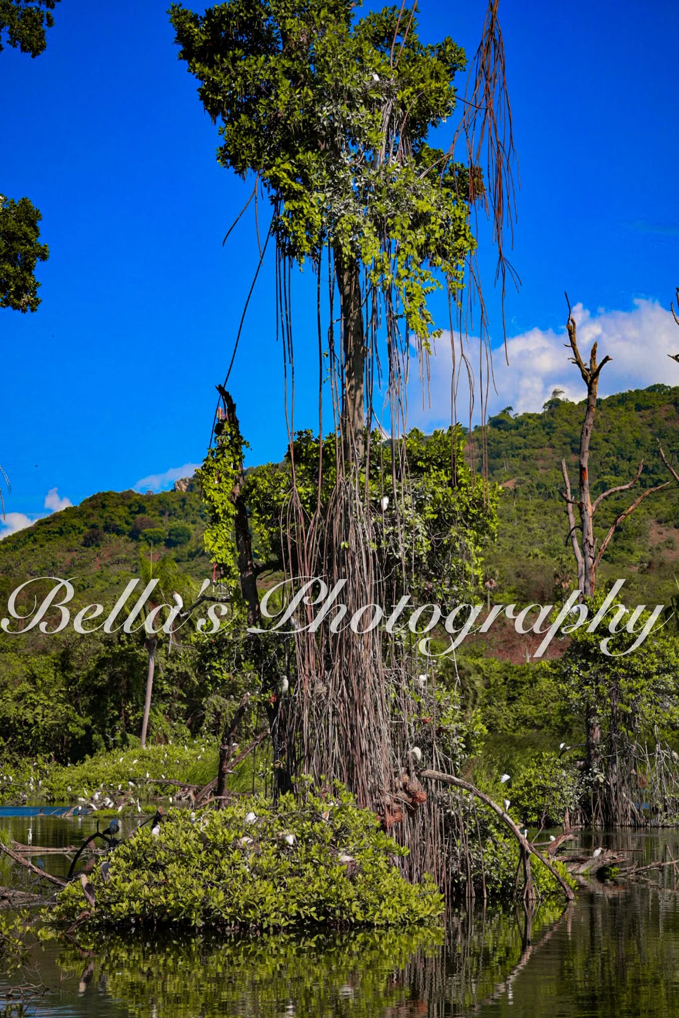bella phtotography-75.jpg