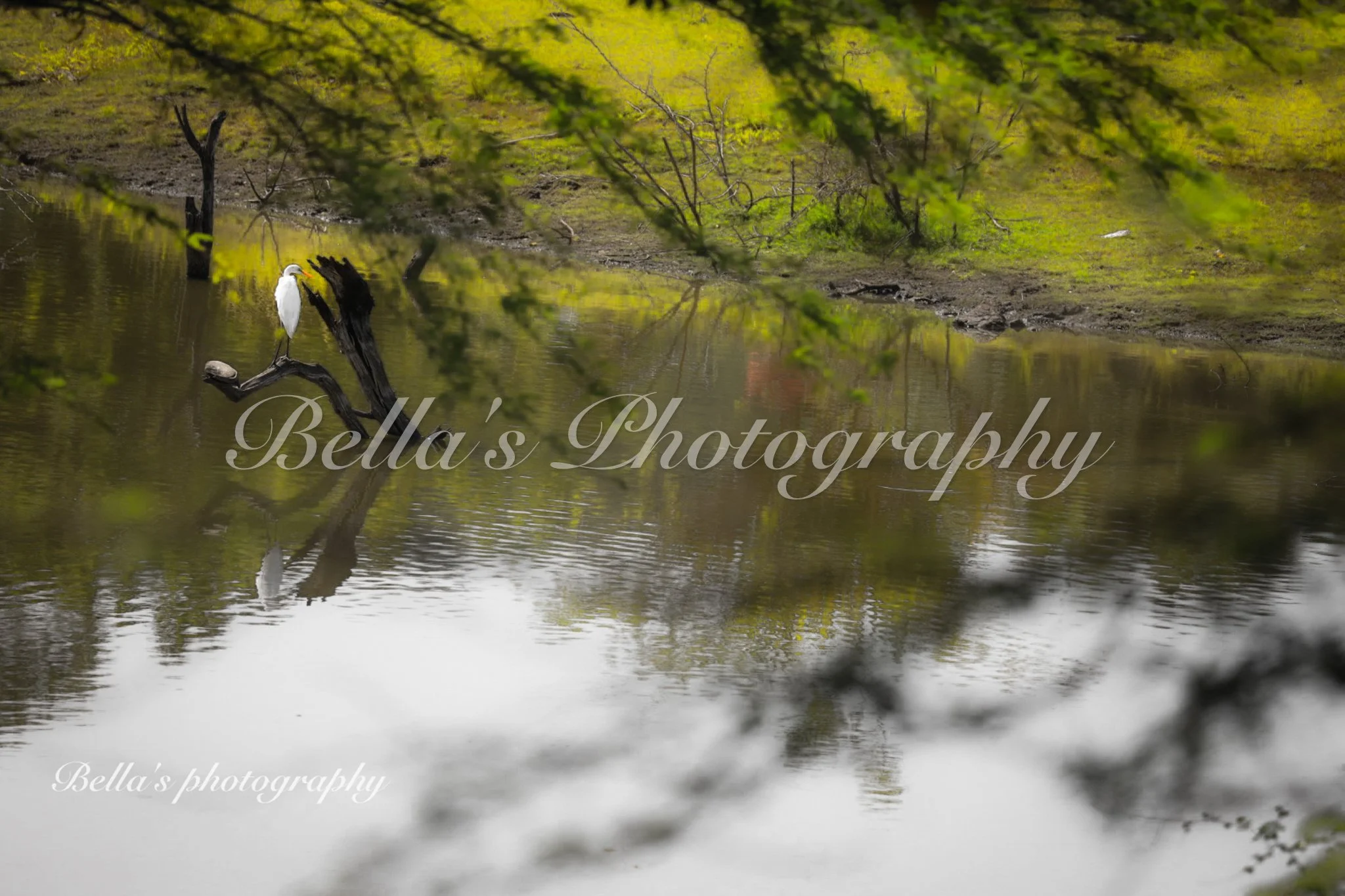 bella phtotography-100.jpg