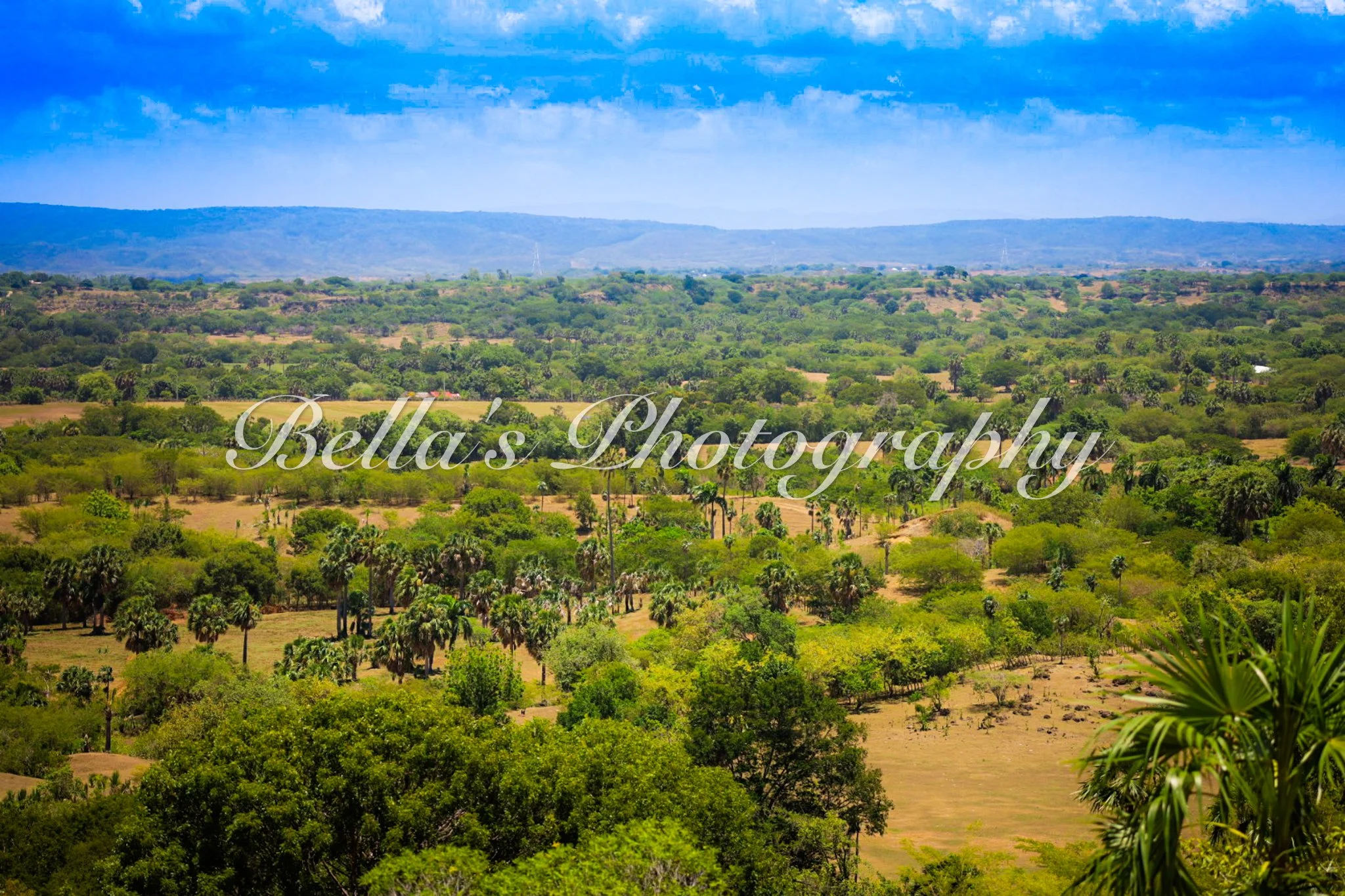 bella phtotography-95.jpg