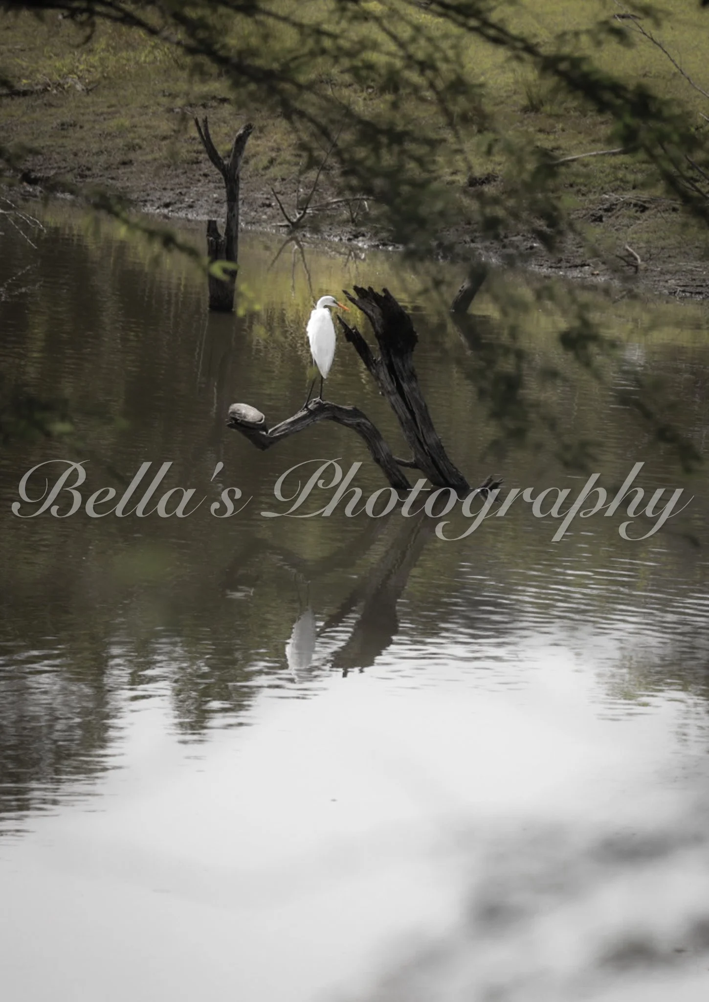 bella phtotography-99.jpg