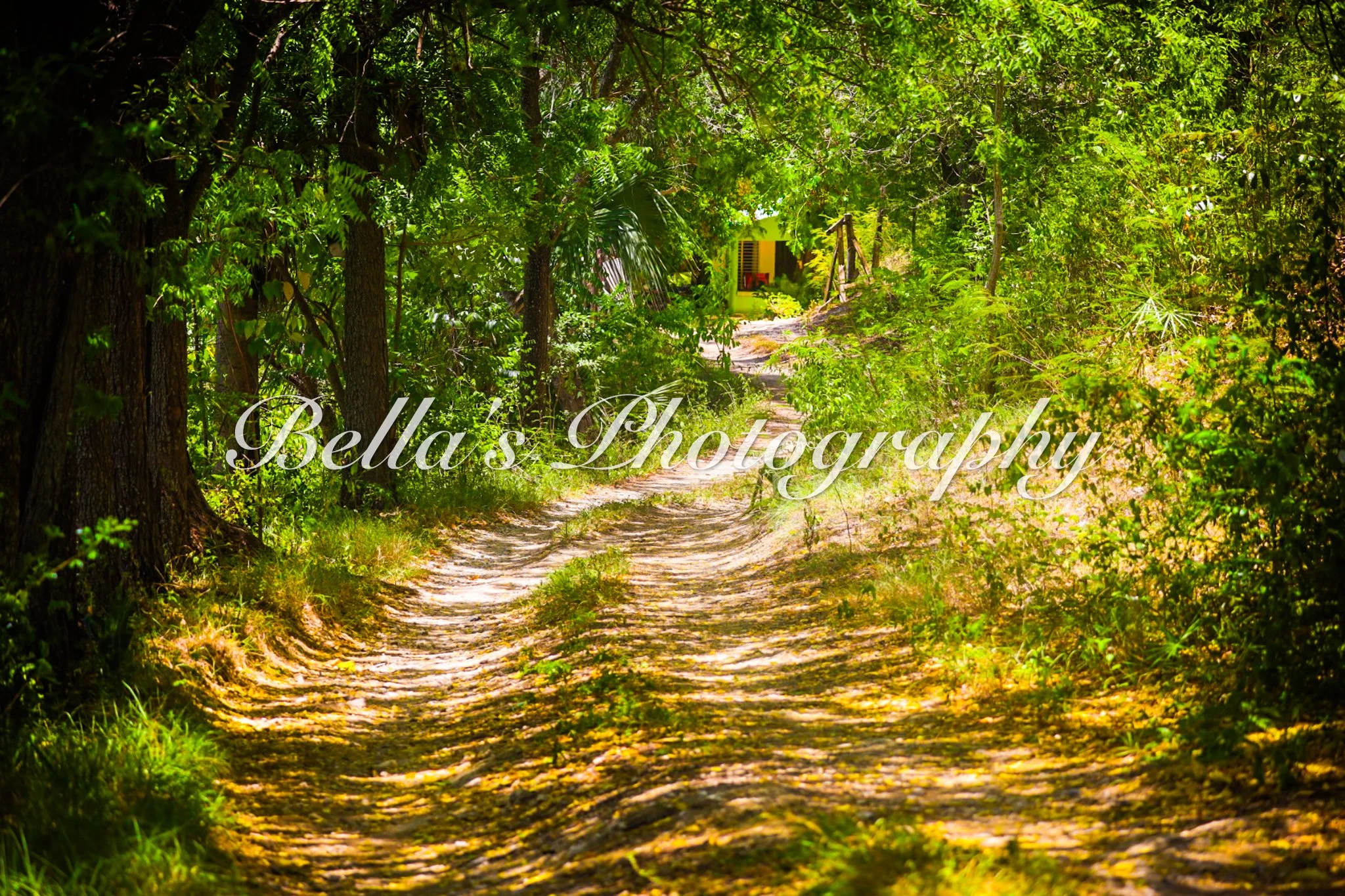 bella phtotography-94.jpg