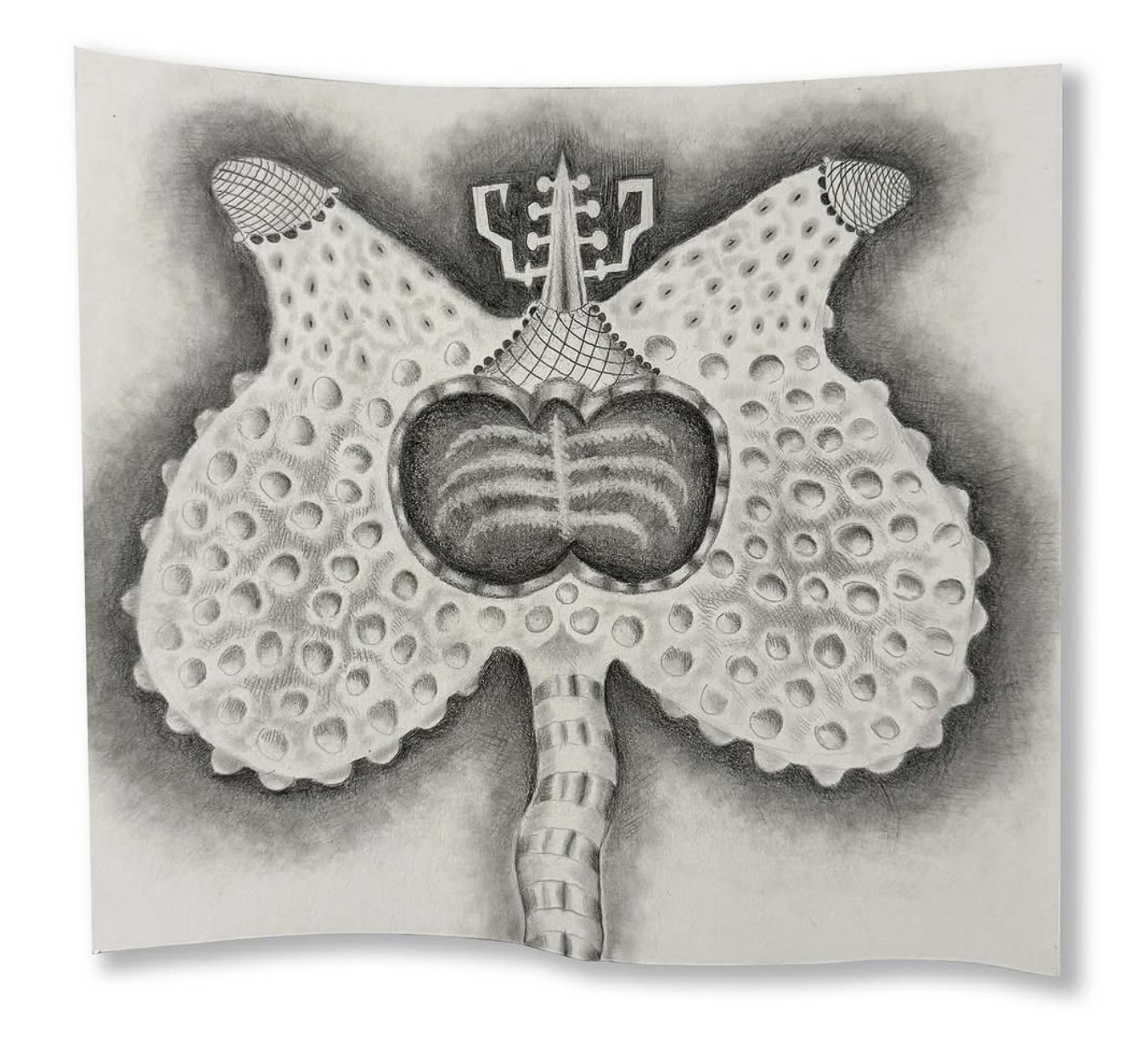 Jana Marie Cariddi &bull; @janamariecariddi | ŋɛཞ۷ɛ ʄཞųıɬ, graphite on Arches hot press, mounted on CNC wood, approx 7 x 8 in

#blackandwhite #monochrome #graphite