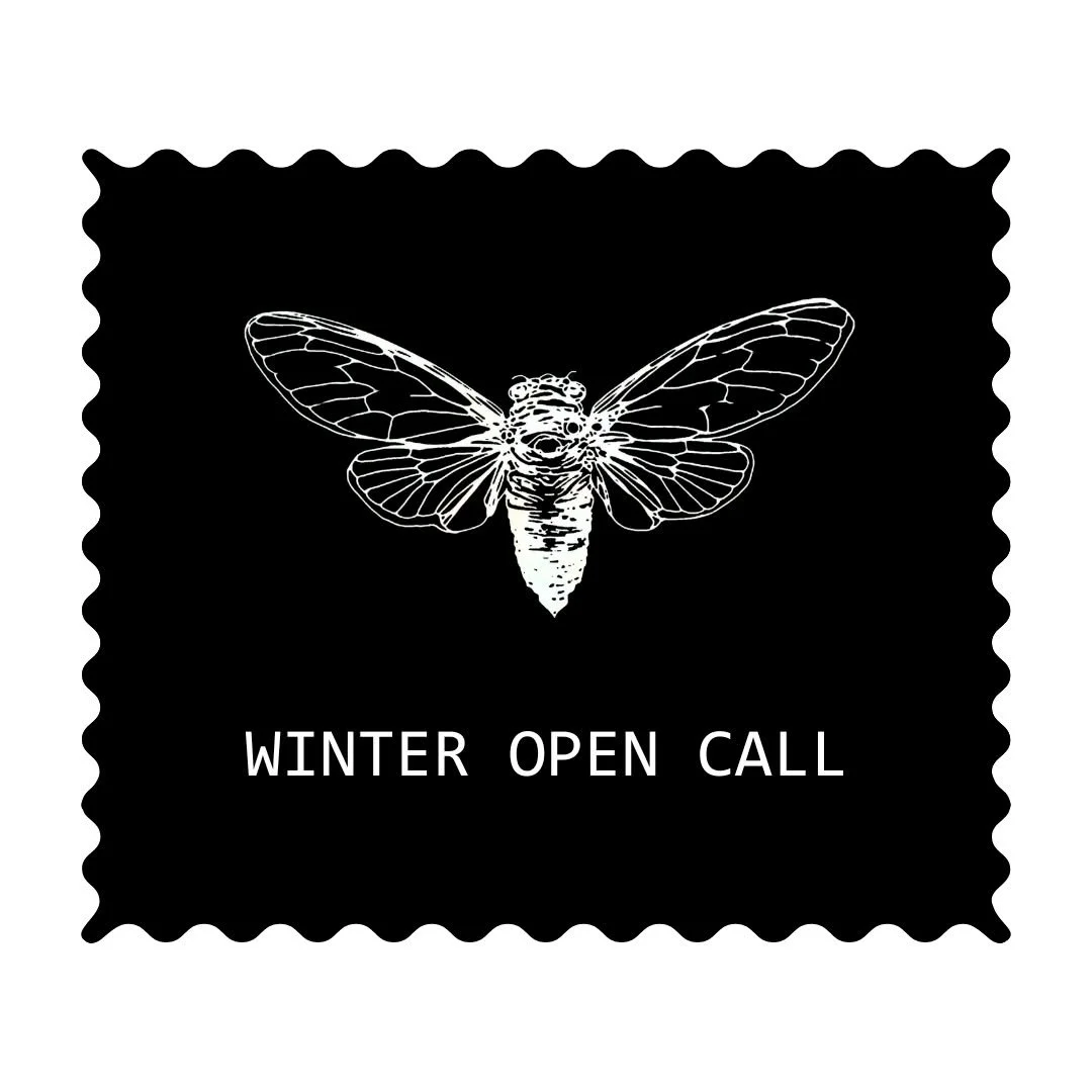 ❄🪰Winter Open Call 🪰❄
Cicada is looking for black and white work in any media. 

Send us 3 - 5 images of your black and white work by November 23rd to be considered for our winter online show. The show will be curated by @annikaearley and will open