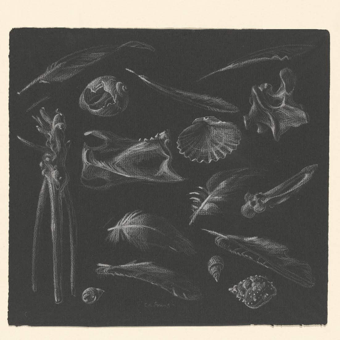 Paul Cadmus &bull; #paulcadmus | Feathers, Shells, and Bones, 1946, crayon on colored paper, 8.75 x 9.5 inches

#drawing #feathers #shells #bones #blackandwhite