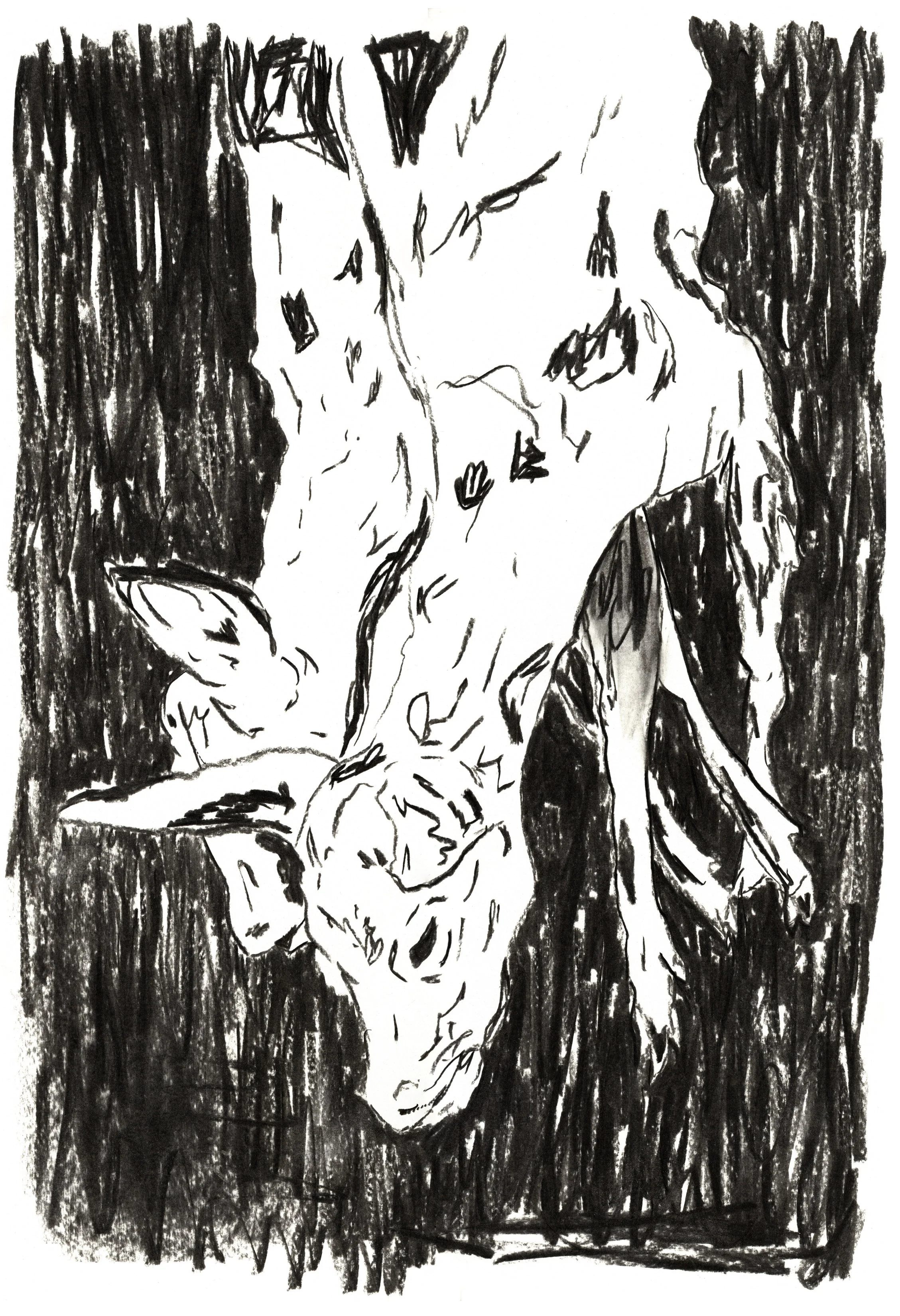 Sina Al-Bayati, Gambrel, Late Season, 2024, charcoal on paper, 16.5 x 23.5 in. 