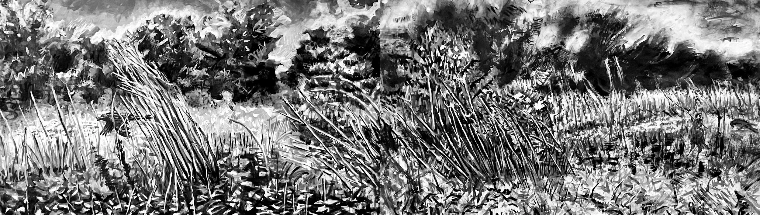 Richard Metz, Coming to and Leaving the Meadow (Diptych), 2024, ink and gouache, 25 x 96 in.