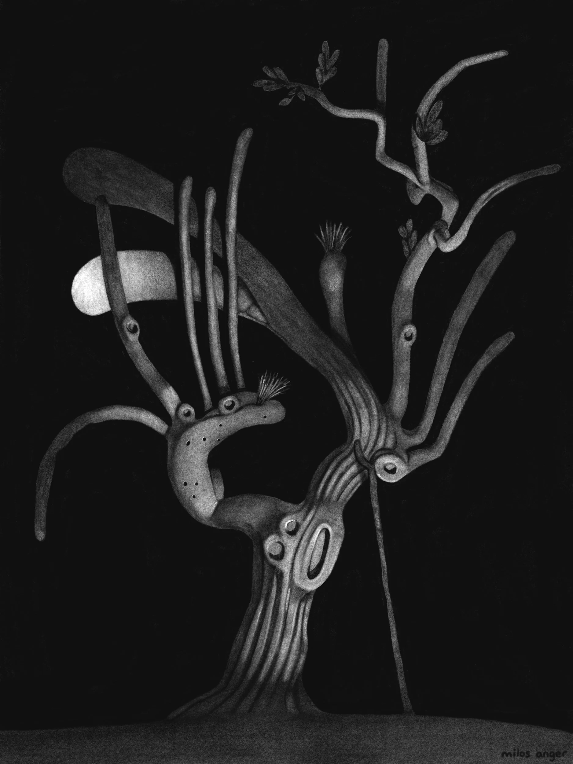 Milos Anger, Day 116, “Tree in the Night,” 2025
Digital Drawing, dimensions vary