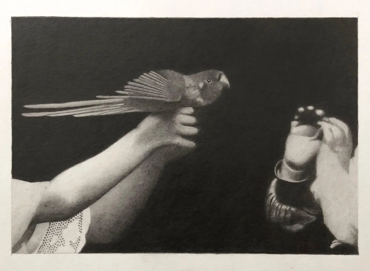 Rebecca Jansson, Hold, 2025, Graphite pencil on paper, 7 x 11 inches