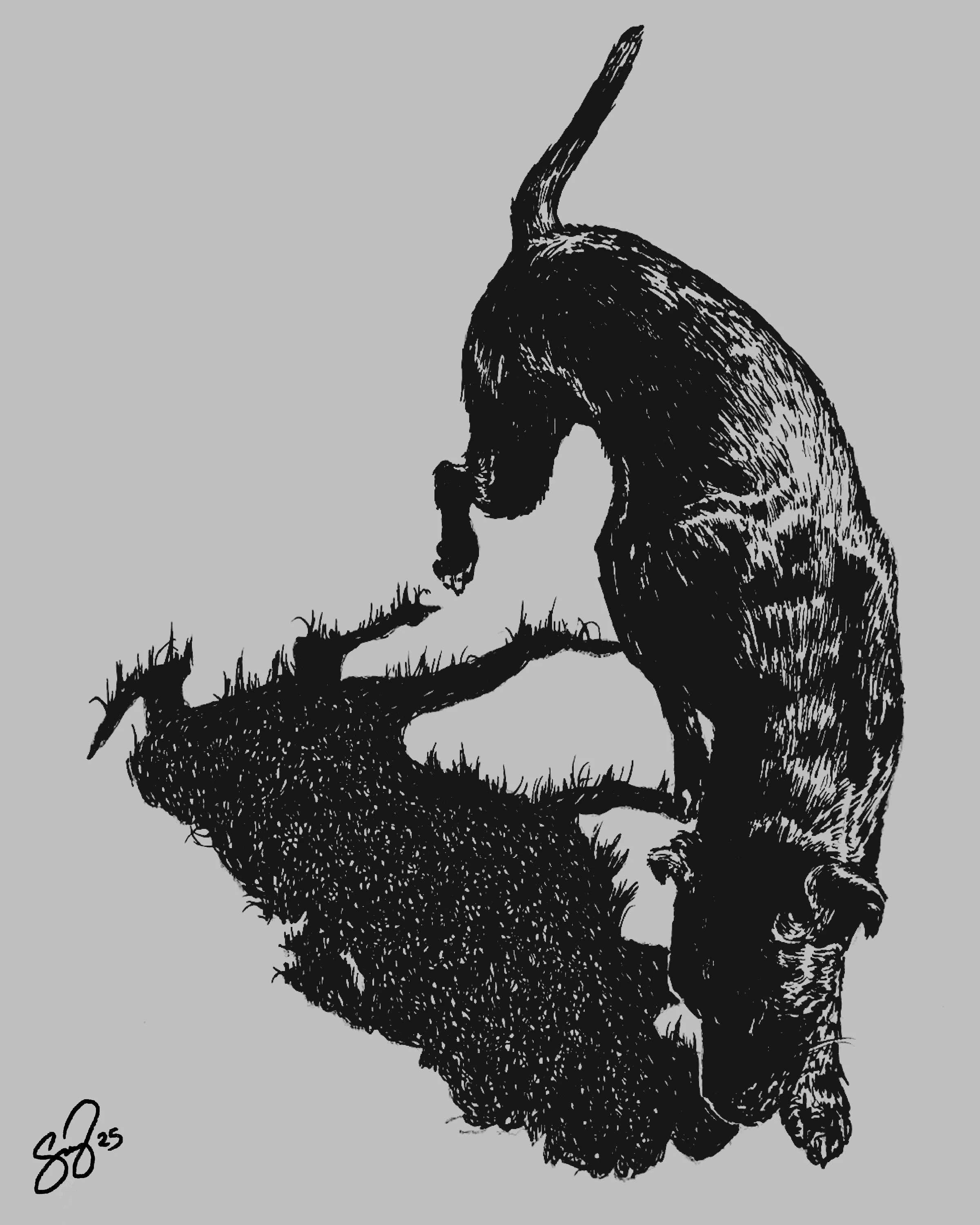 Skylah Saenz, My Shadow’s Shadow, 2025, Ink, 8 x 10 in. 
