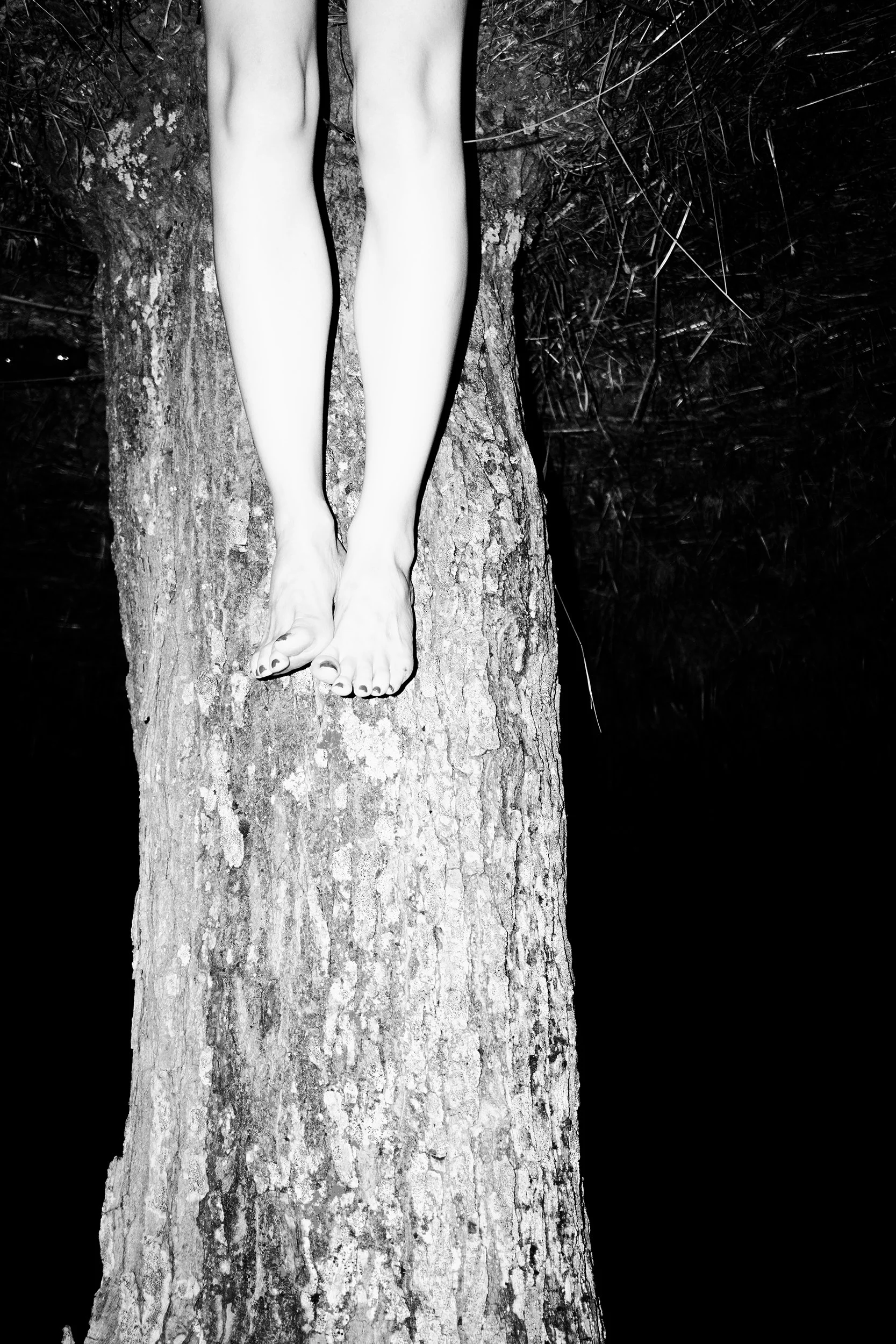 Annemarie Deckers, Escape, 2025, photography (digital), dimensions vary