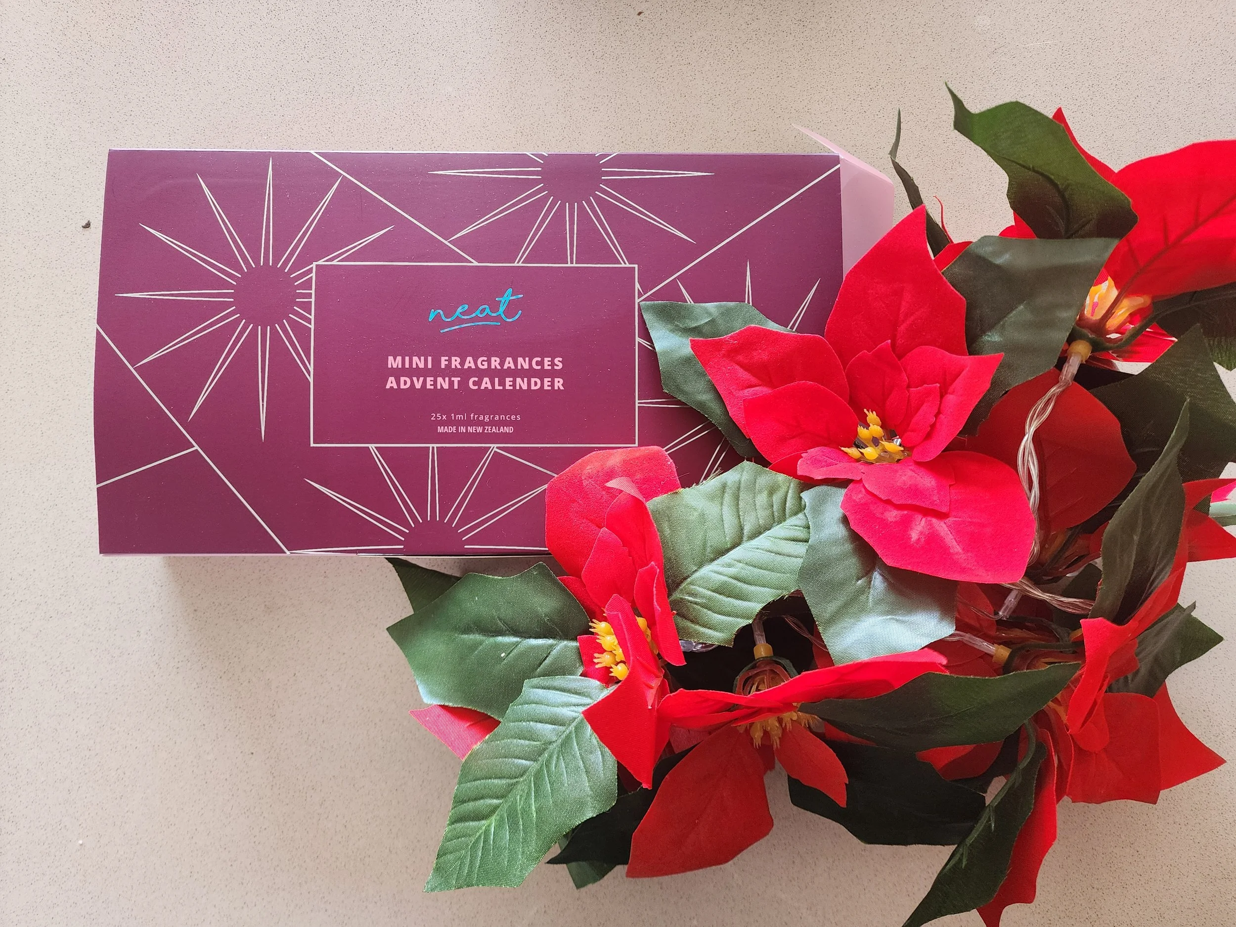 Brand Partnerships & Content Creation