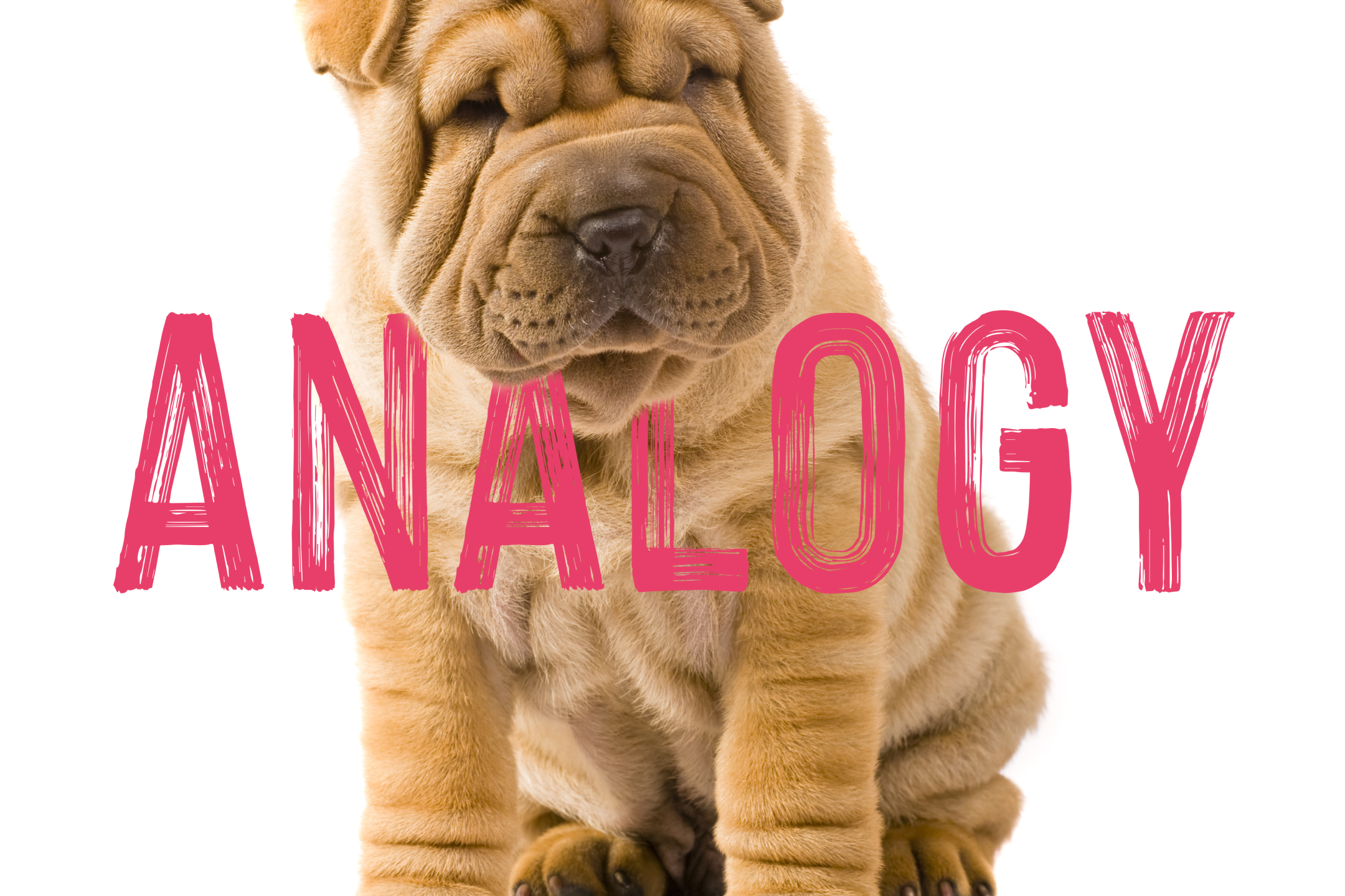 Collagen Spring-8.png