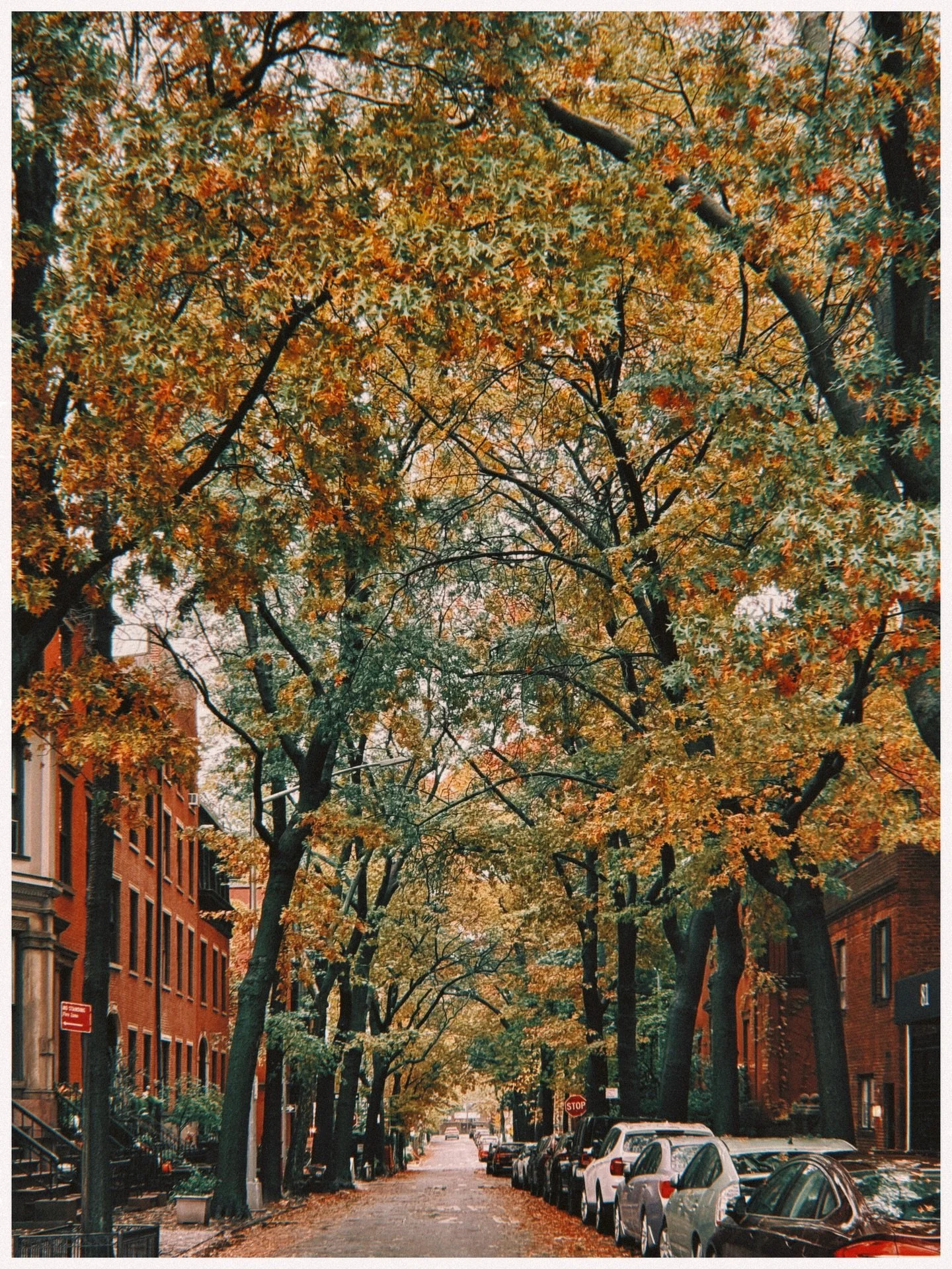 Autumn in New York has been a little surreal lately. With Davina traveling, I&rsquo;ve been spending more time with David &mdash; slower days, longer walks, and plenty of art in between. The city feels like it&rsquo;s catching its breath before winte