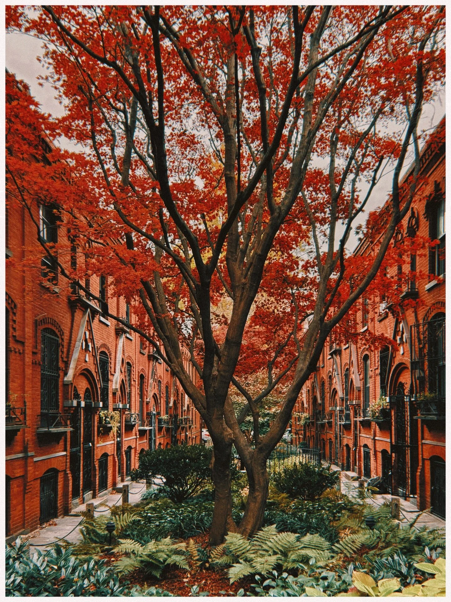 David&rsquo;s been sick the last few days, so we&rsquo;ve been holed up all weekend. Too cold to go anywhere legit, but he was dead-set on hitting the Cobble Hill sand pit for truck time. Passed this spot on the way, one of those low-key corners of t