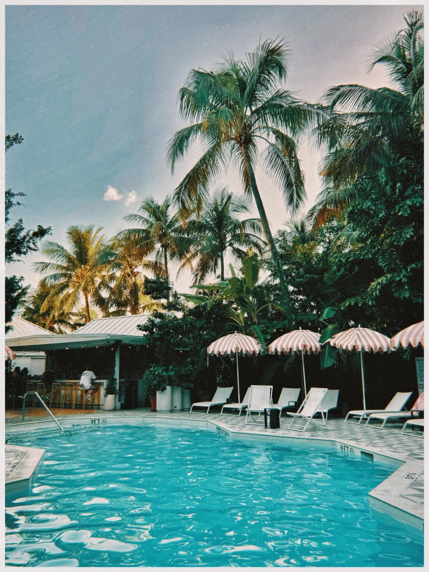 @mspipers by day has that whimsical, lush garden charm with feminine energy everywhere, and the food is the kind of good that catches you off guard. At night it shifts into warm light, intimate corners, and a quietly romantic vibe, with cocktails ins