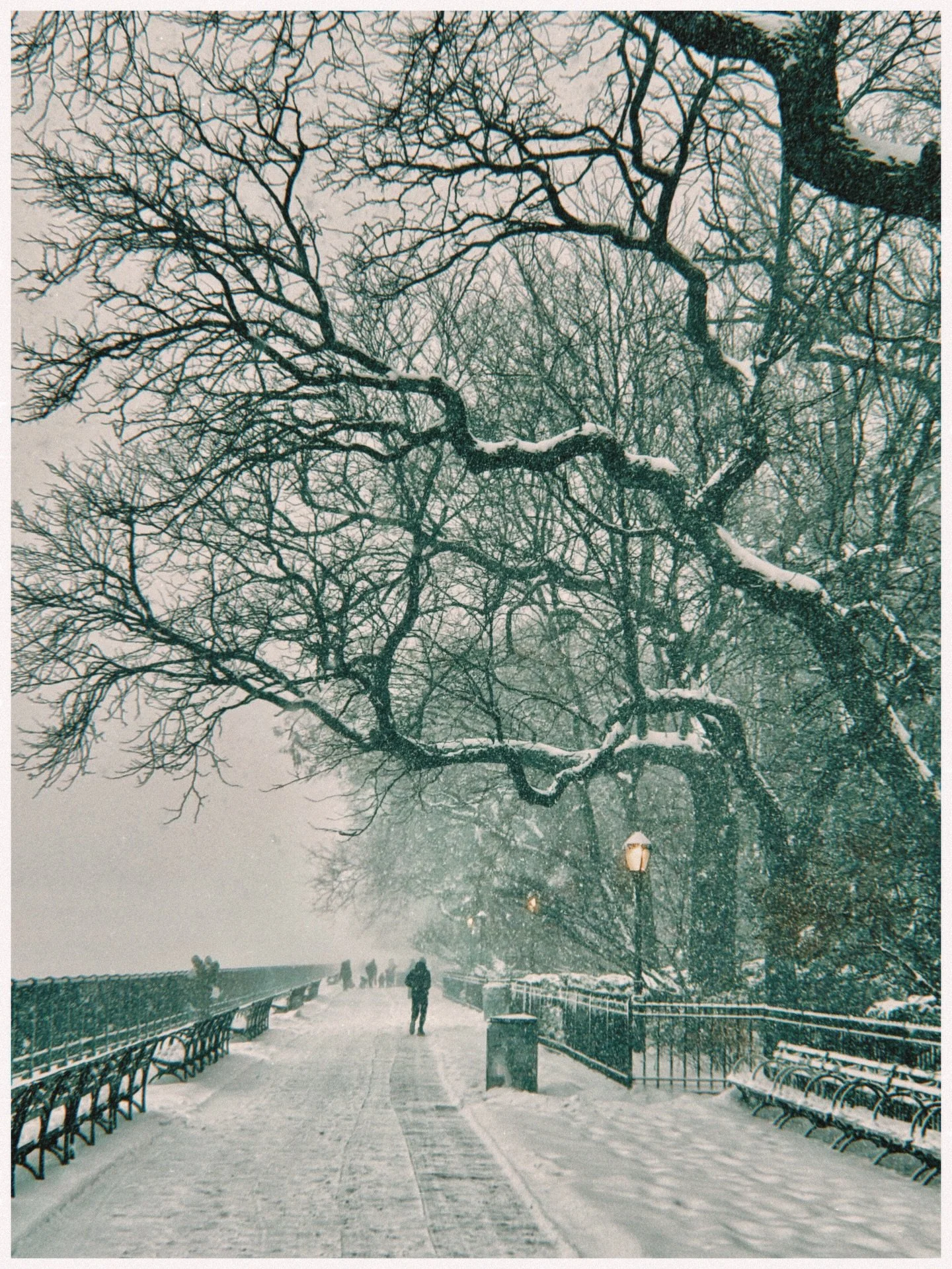 Snow day in #brooklynheights 

#nyc #newyorkcity #snowstorm #brooklyn