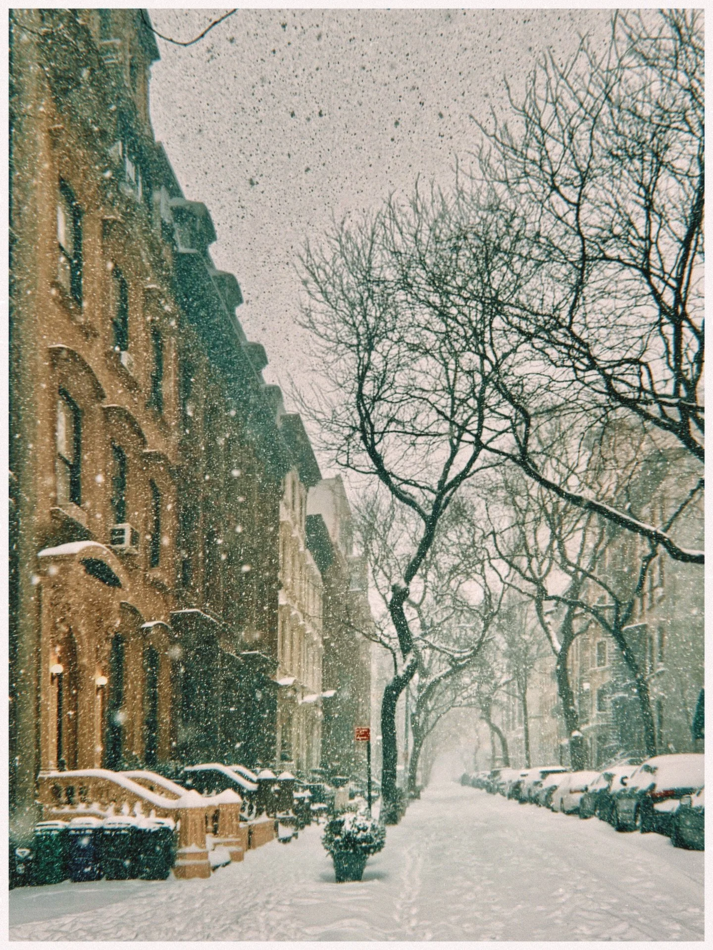 January photo dump #shotoniphone

#nyc #newyork #snowstorm #brooklyn