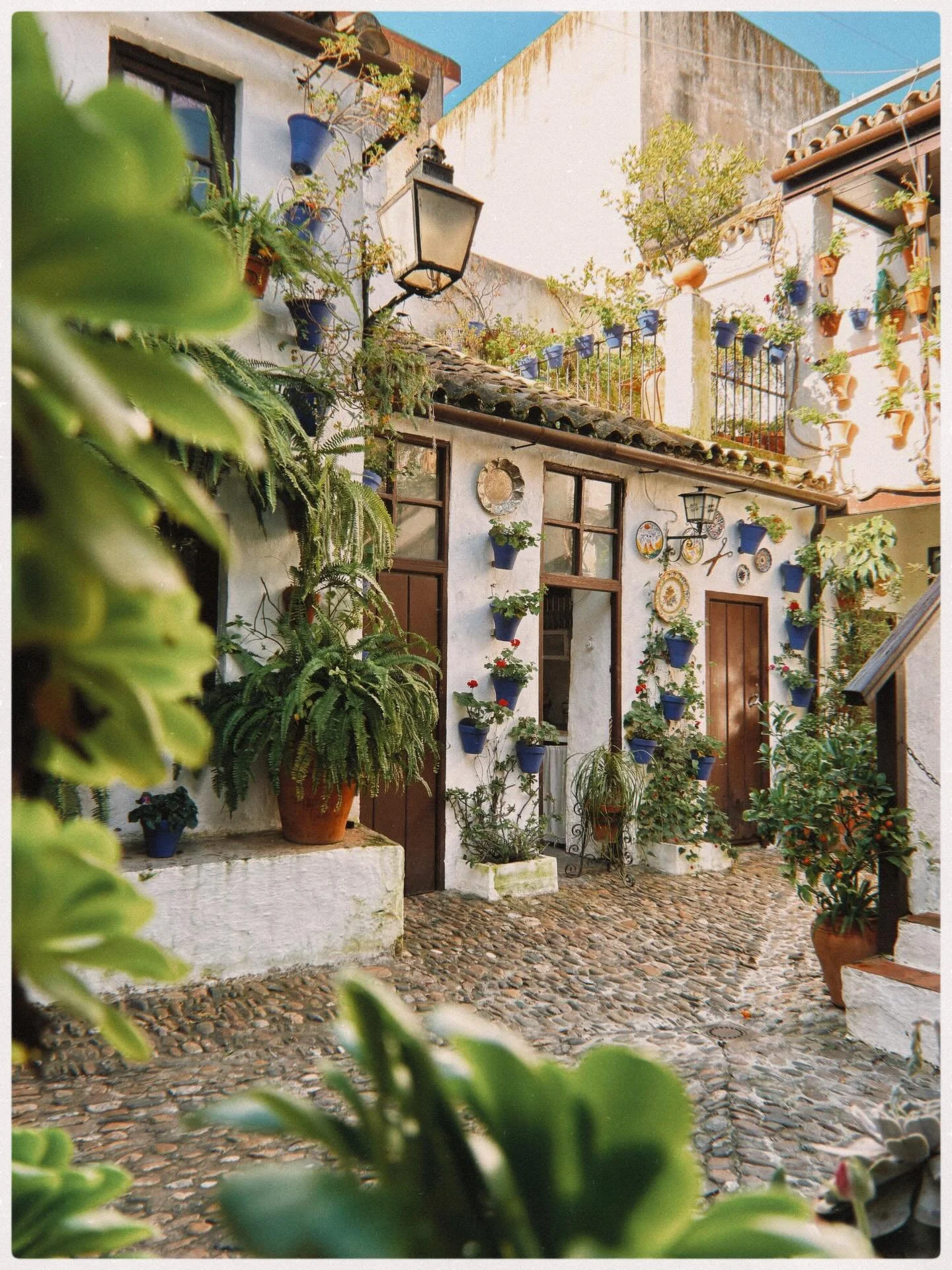 C&oacute;rdoba through my lens. The patios are everything you&rsquo;ve heard they are, the food goes without saying if you&rsquo;ve been following along, and then there were the little unexpected things we just stumbled upon, which honestly ended up 