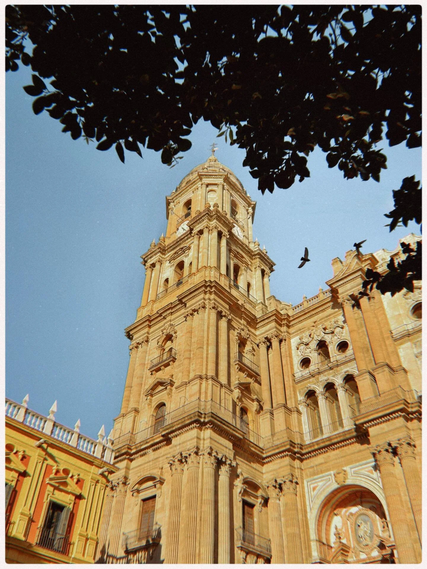 Three cities in Andaluc&iacute;a and M&aacute;laga somehow ended up being the favourite. Didn&rsquo;t see that coming. Here&rsquo;s a mix of the food we ate, the random shots, and the little places that caught our attention along the way. Granada is 