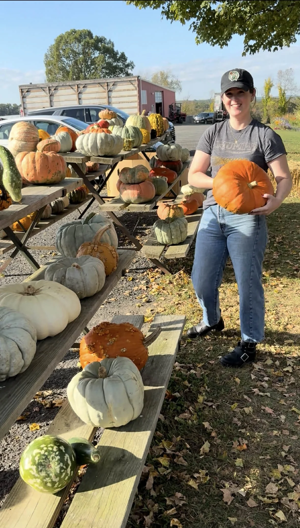 A woman standing outdoors holding a large orange pumpkin. She is smiling, wearing a dark cap, gray t-shirt, jeans, and black shoes. Behind her, there are tables with various pumpkins and gourds, with a rural background of trees, vehicles, and a pink barn.