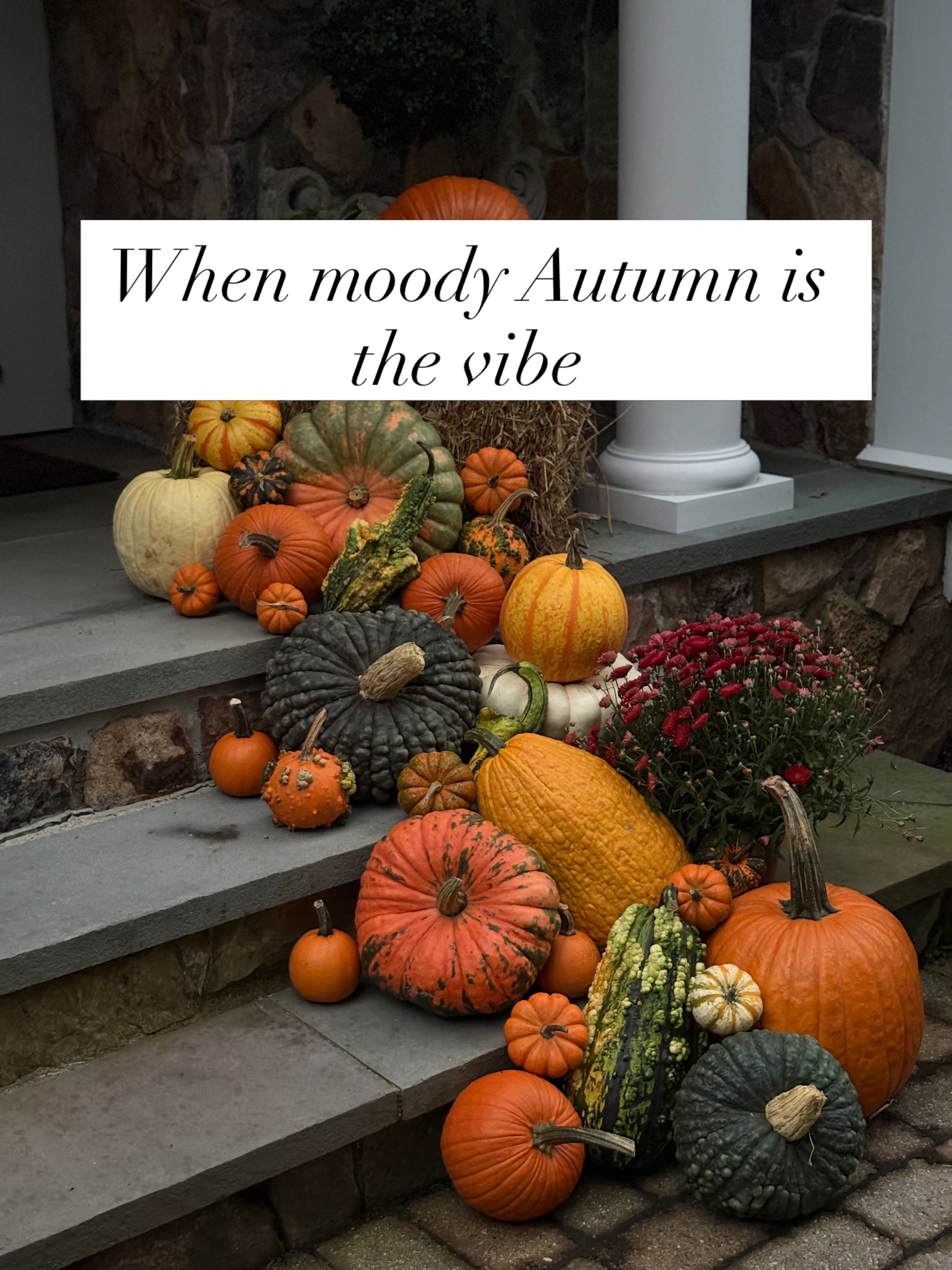 Give me classic Autumn with a twist. For this Weston home we layered textured gourds, dark pumpkins and pops of color to create a moody vibe.