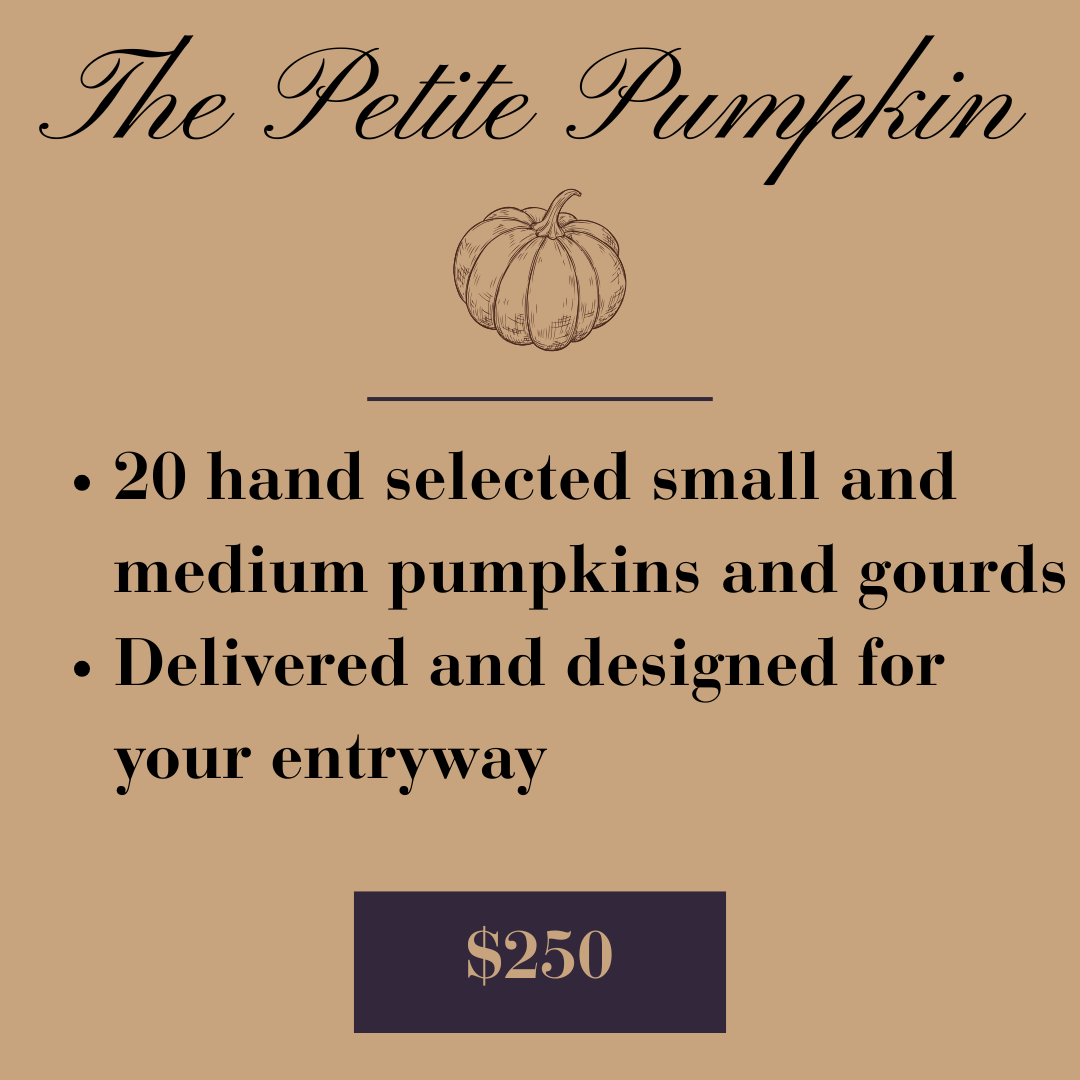 Petite Pumpkin Installation