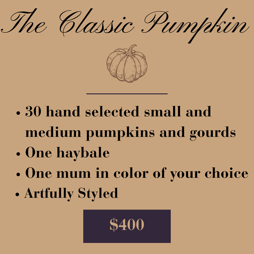 A promotional flyer for The Classic Pumpkin, featuring a hand-drawn pumpkin illustration at the top and details about a pumpkin-themed product, including a list of features and a price of $400.