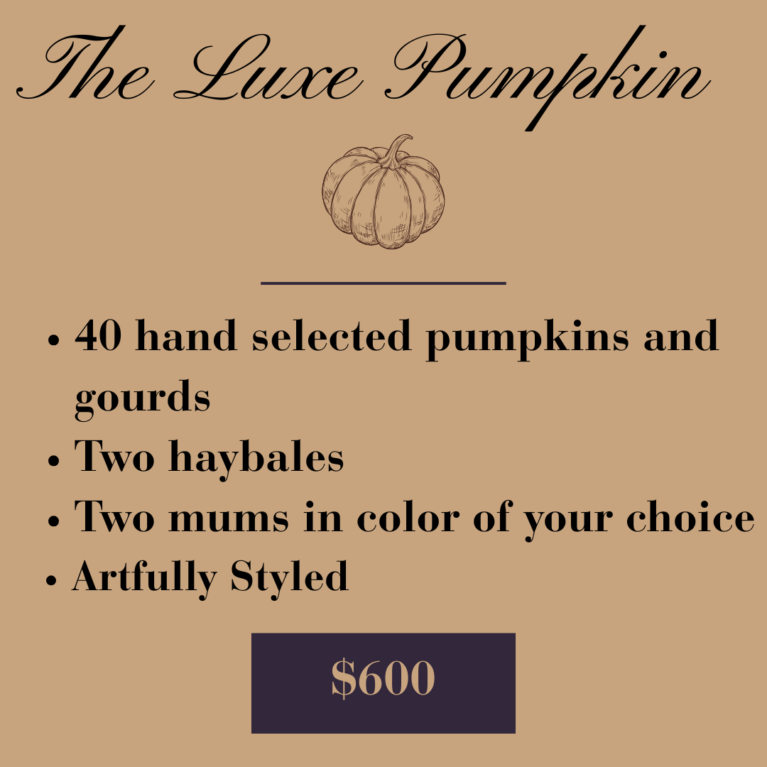 A flyer titled 'The Luxe Pumpkin' with a sketch of a pumpkin at the top. It lists a service tier including 40 hand-selected pumpkins and gourds, two hay bales, two mums in your choice of color, all artfully styled, for $600.