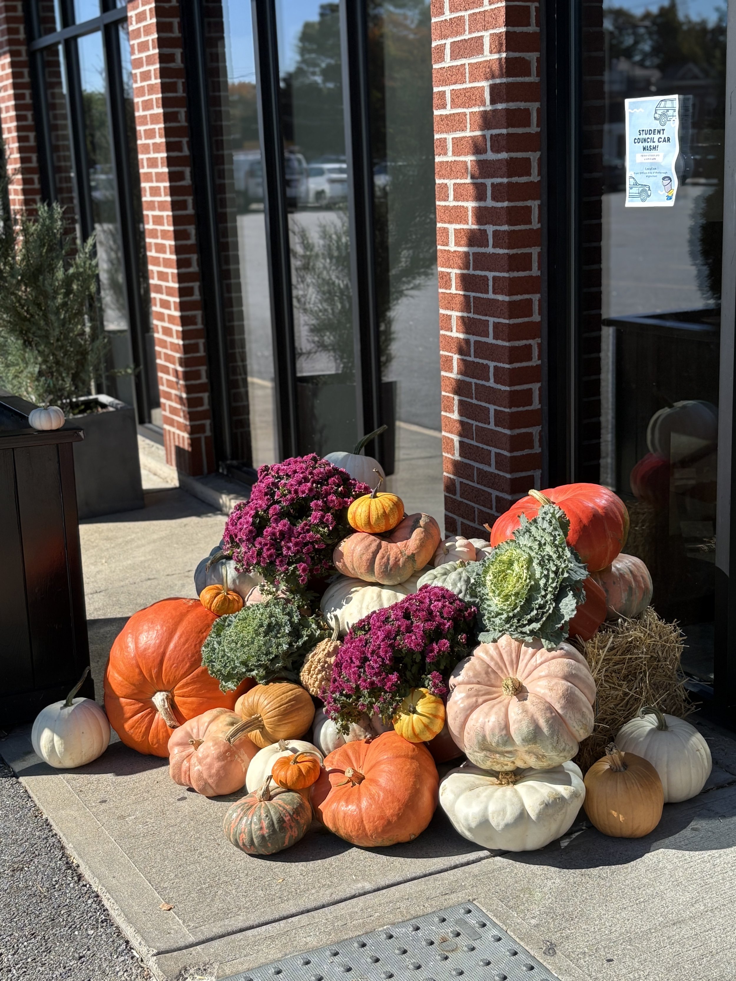 Pumpkin Decor Westborough Business.jpeg