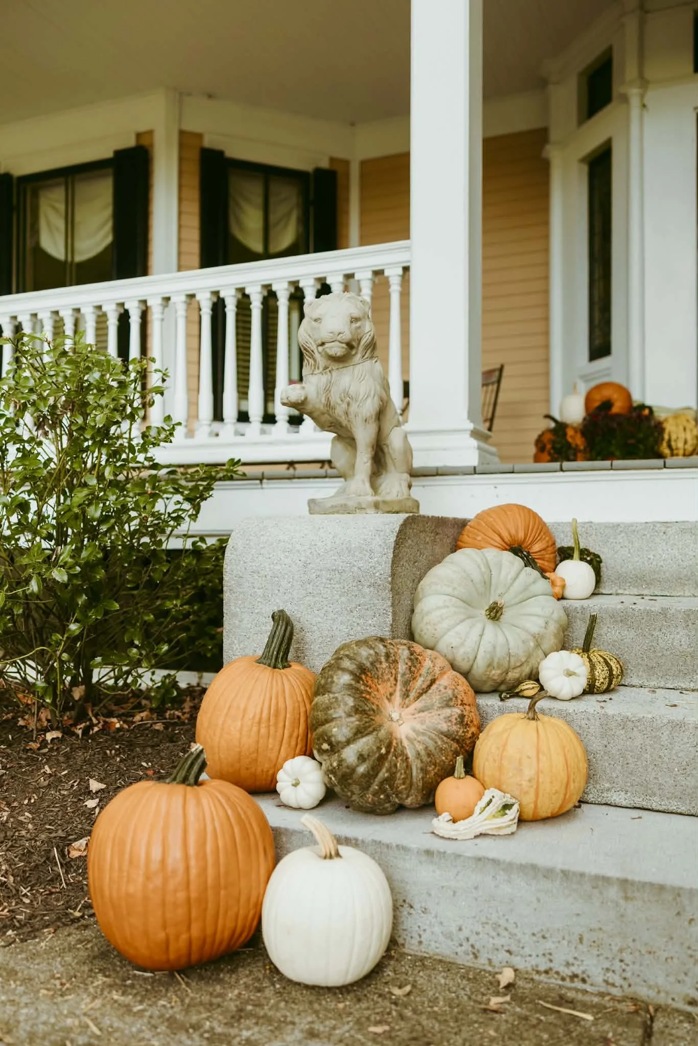 The Petite Pumpkin