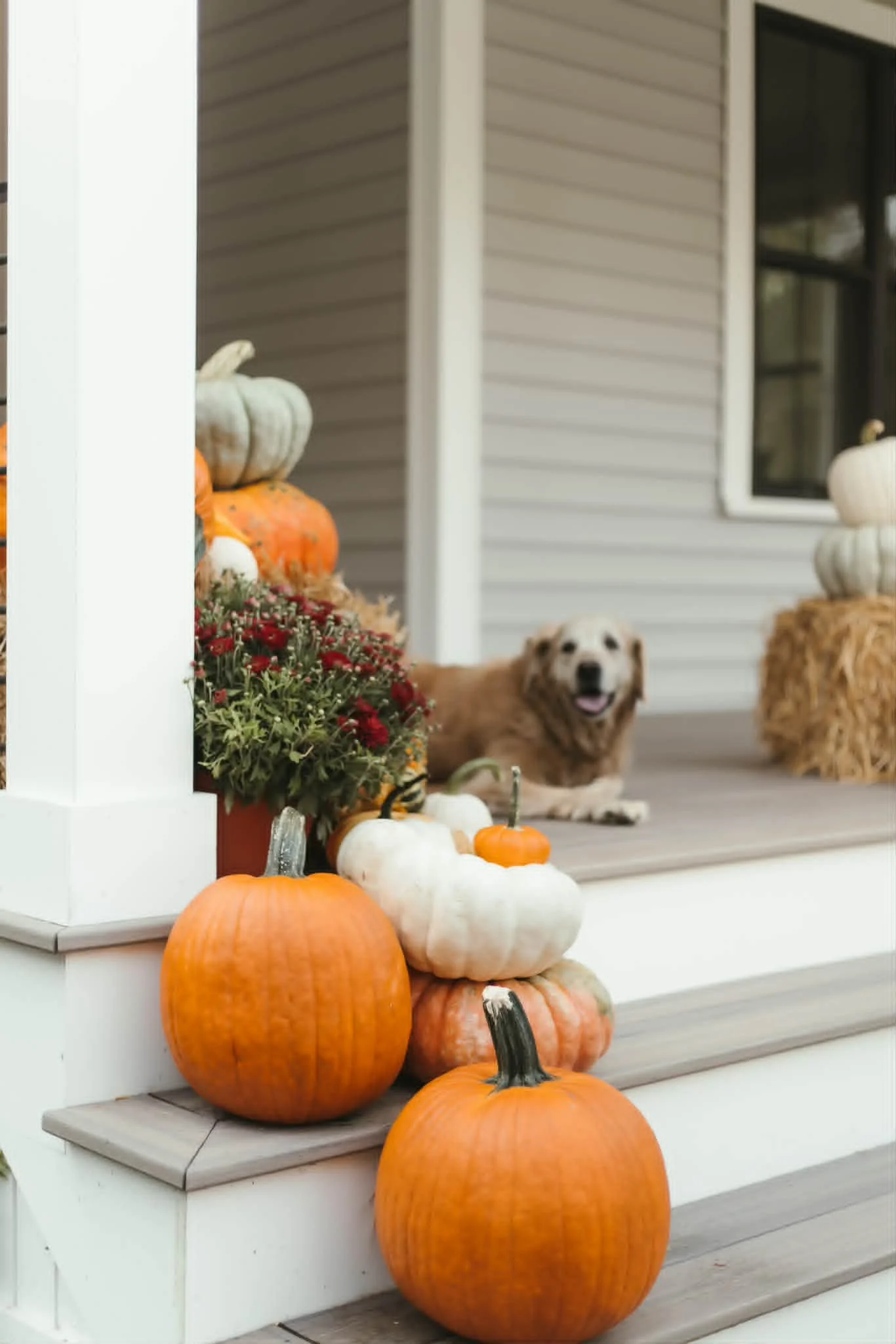Westborough-pumpkin-installation-5.jpg