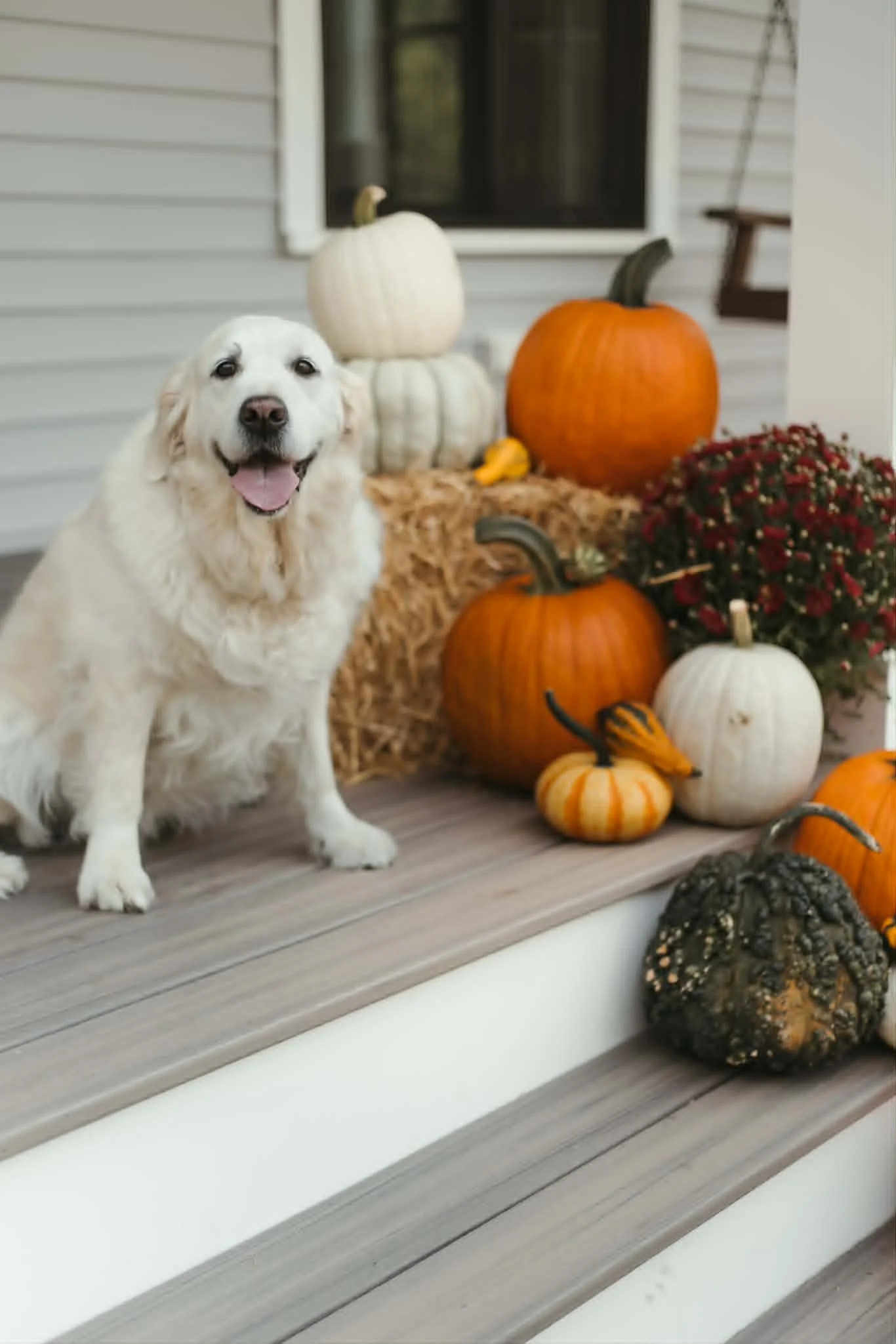 Westborough-pumpkin-installation-4.jpg