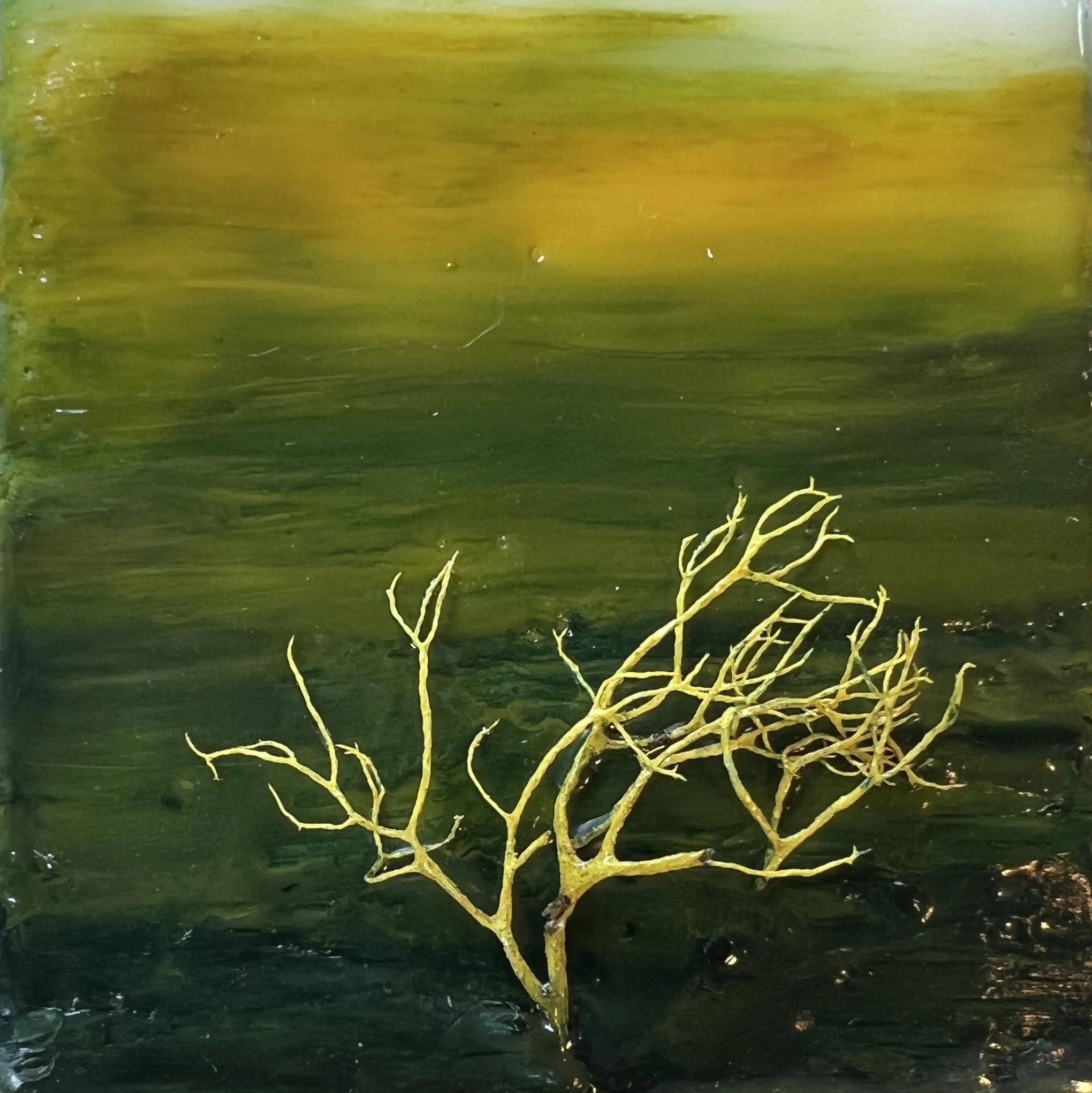 Trees of the Giff  |  4