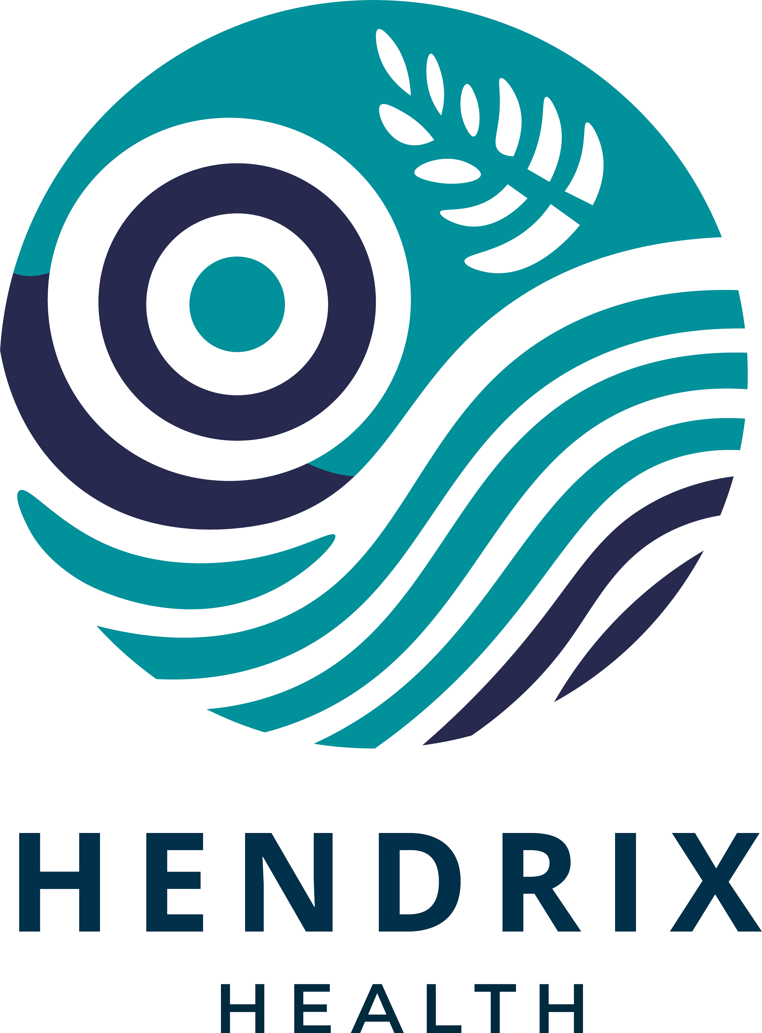 HENDRIX_HEALTH_Colored.png
