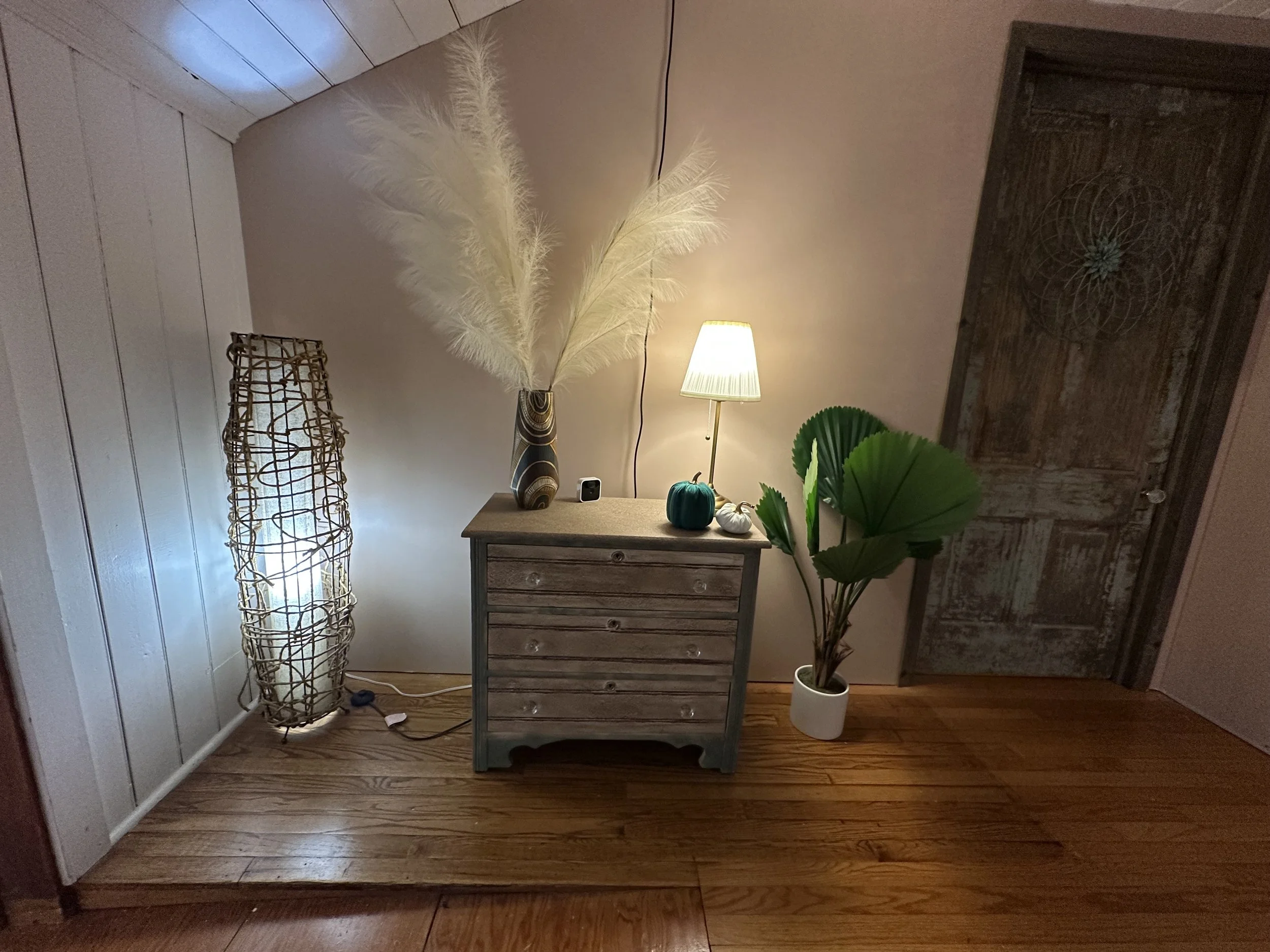 A cozy corner with a wooden dresser, decorative plants, lamps, and a textured door.