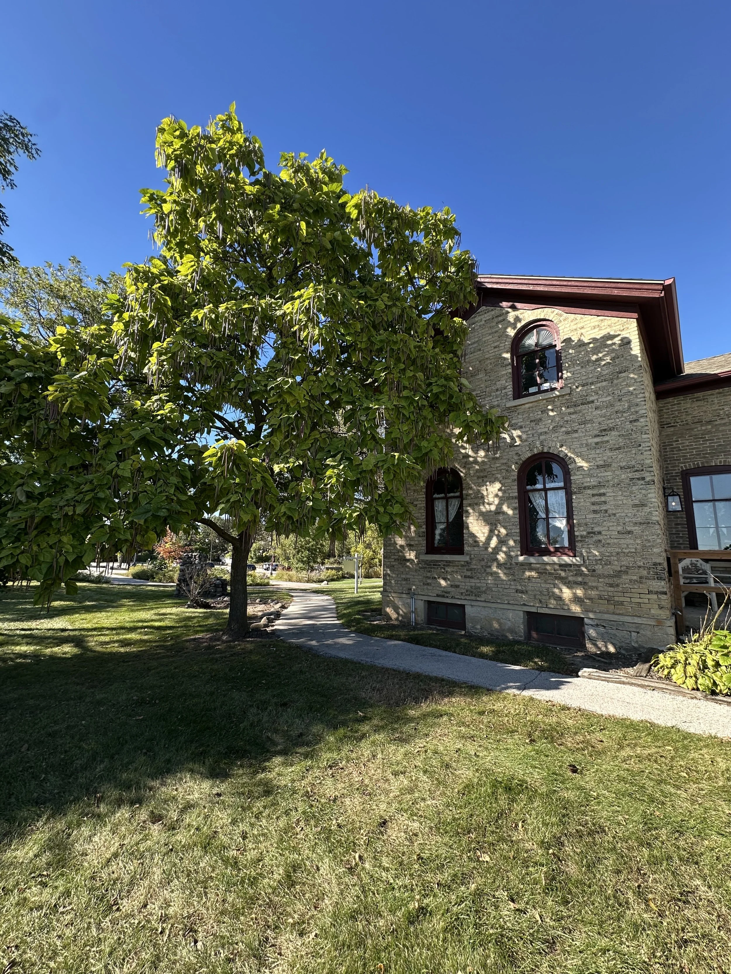 A two-story brick house with arched windows, a garden with a large green tree, a lawn, and a sidewalk under a clear blue sky.