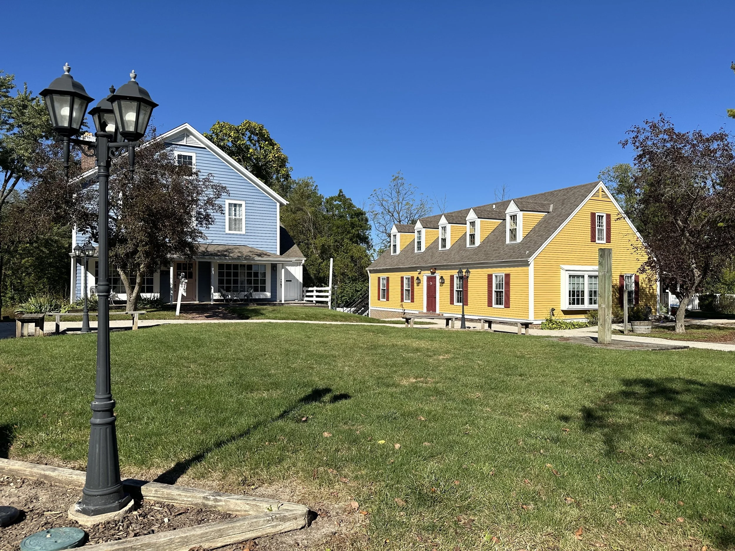 Colorful houses and a grassy park with lampposts under a clear blue sky.