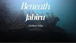 Beneath Jabiru.jpg