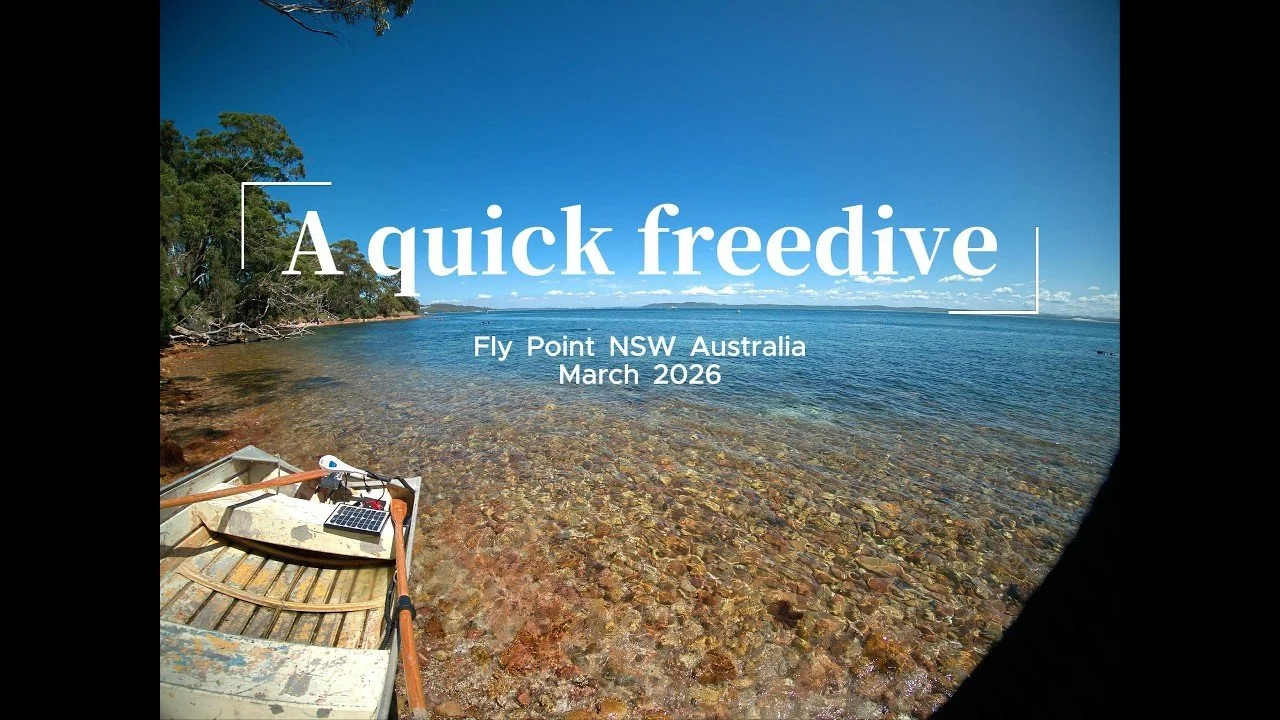 Quick Freedive.jpg