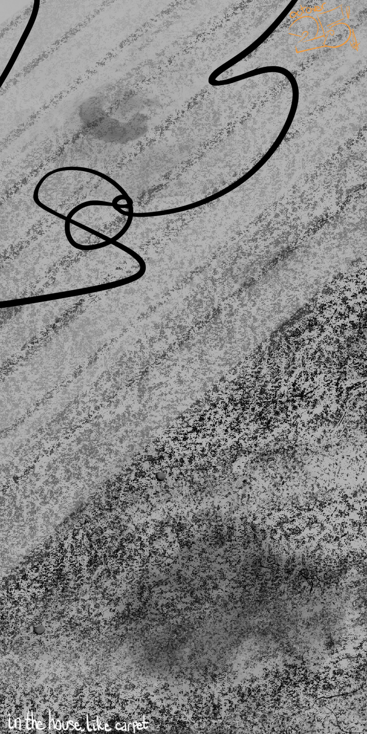 27_in the house, like carpet.png