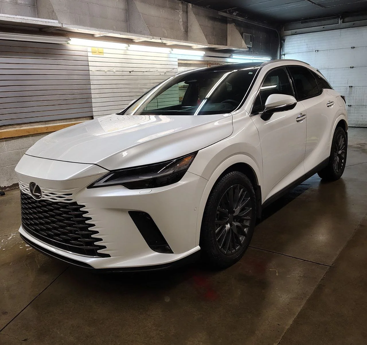 064170B1-5941-4AD8-B790-5AE83B83EA36 4.JPG