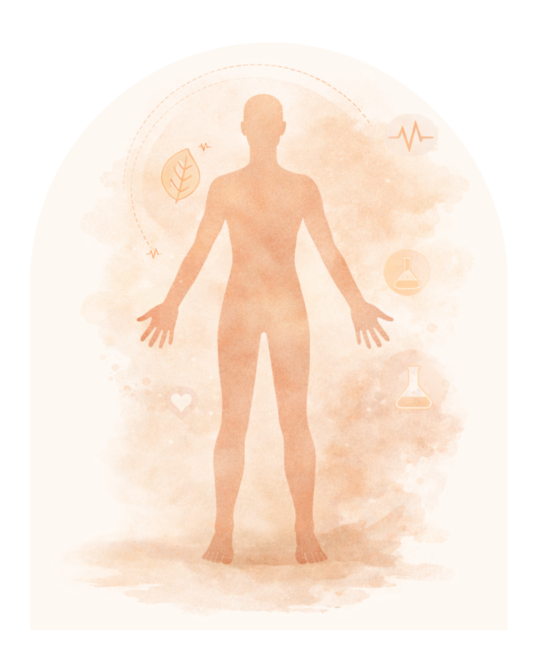 Intermediate Package