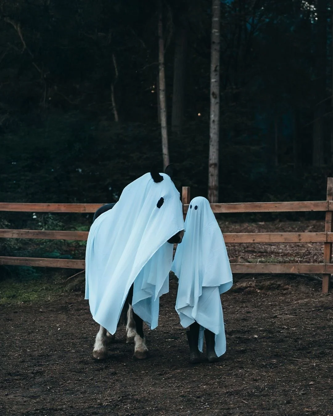 Too cute to spook👻