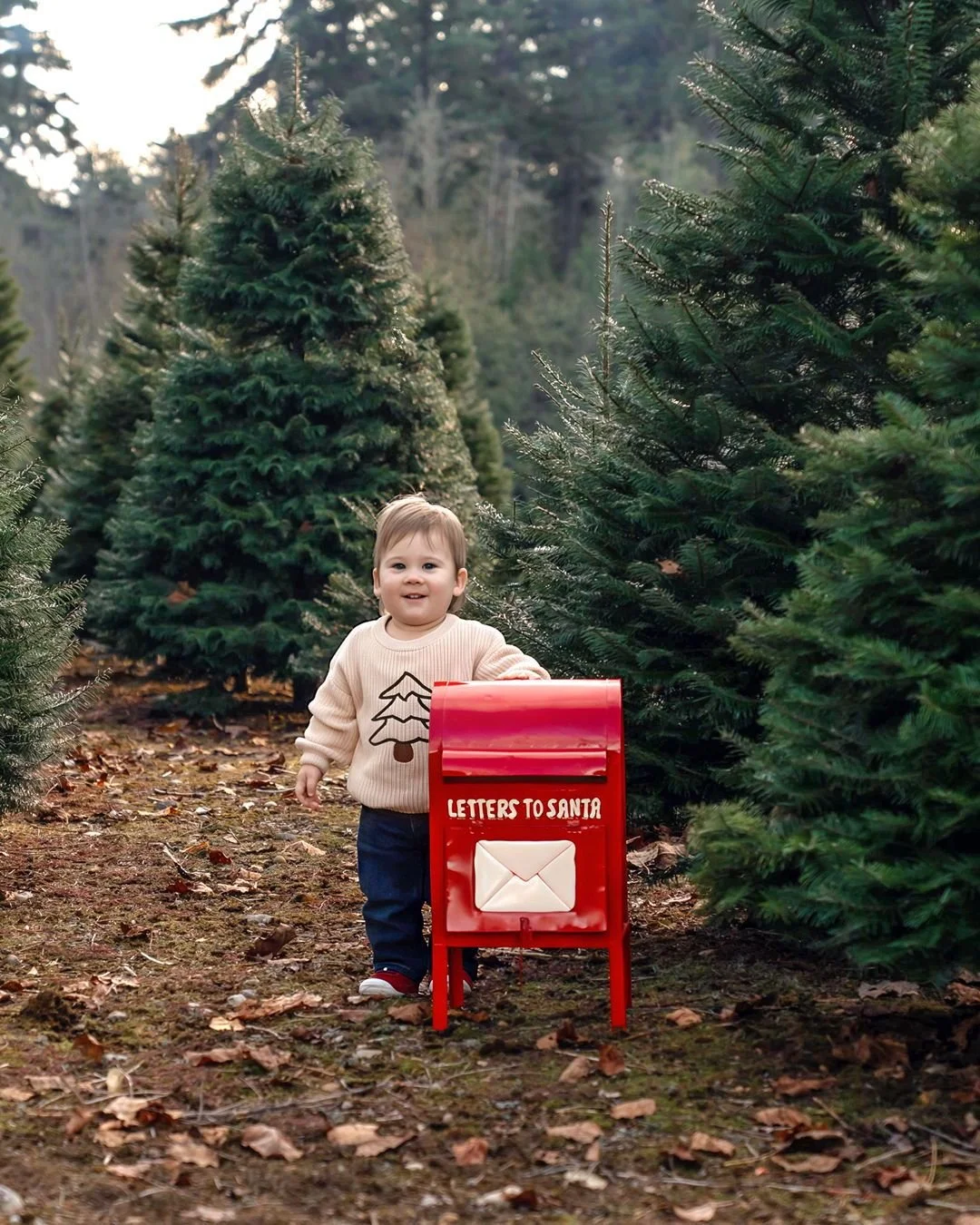 Letters to Santa
#GigHarborPhotographer #PNWFamilyPhotographer #TreeFarmPhotos