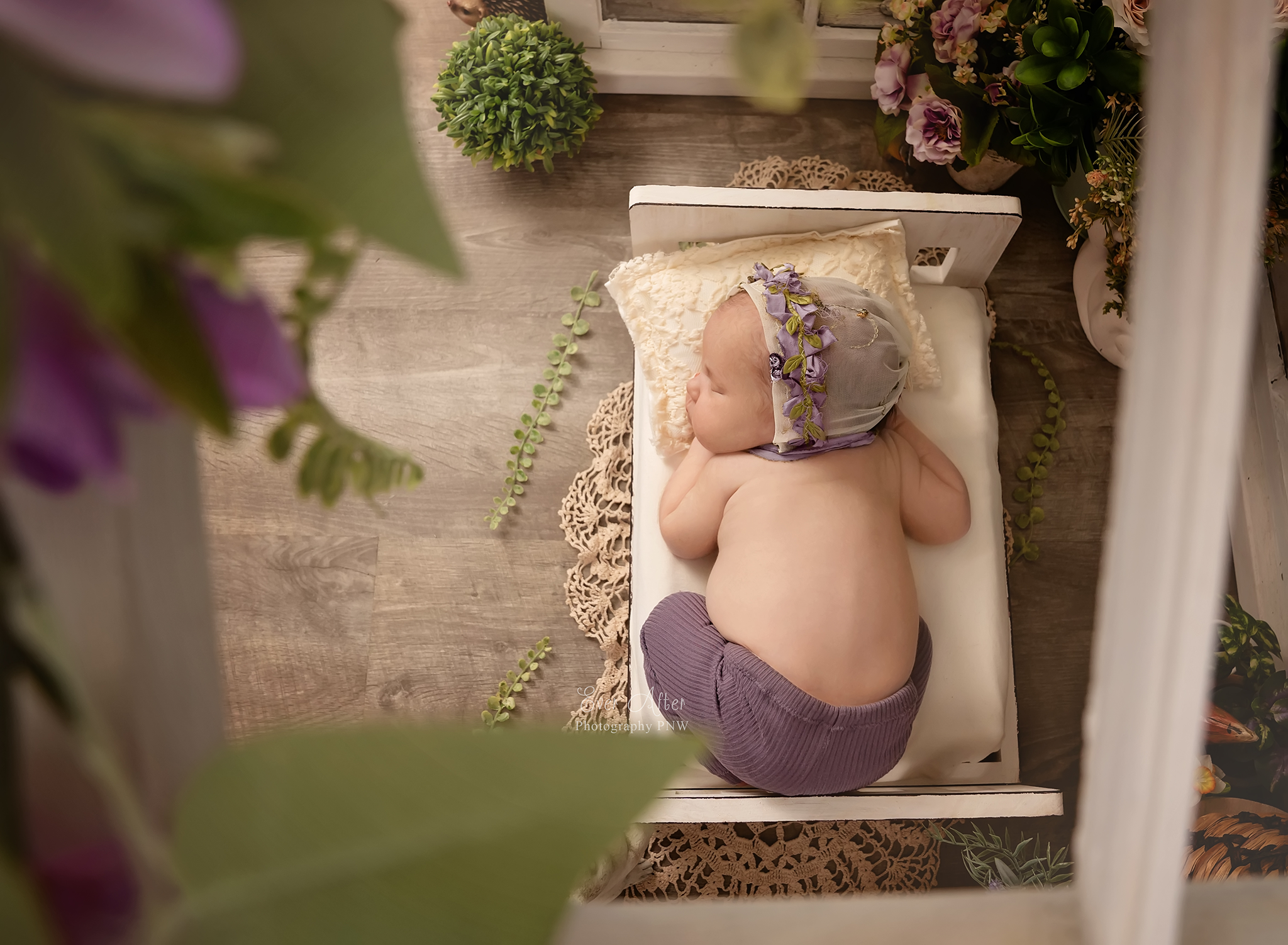 045-WG-newborn.png